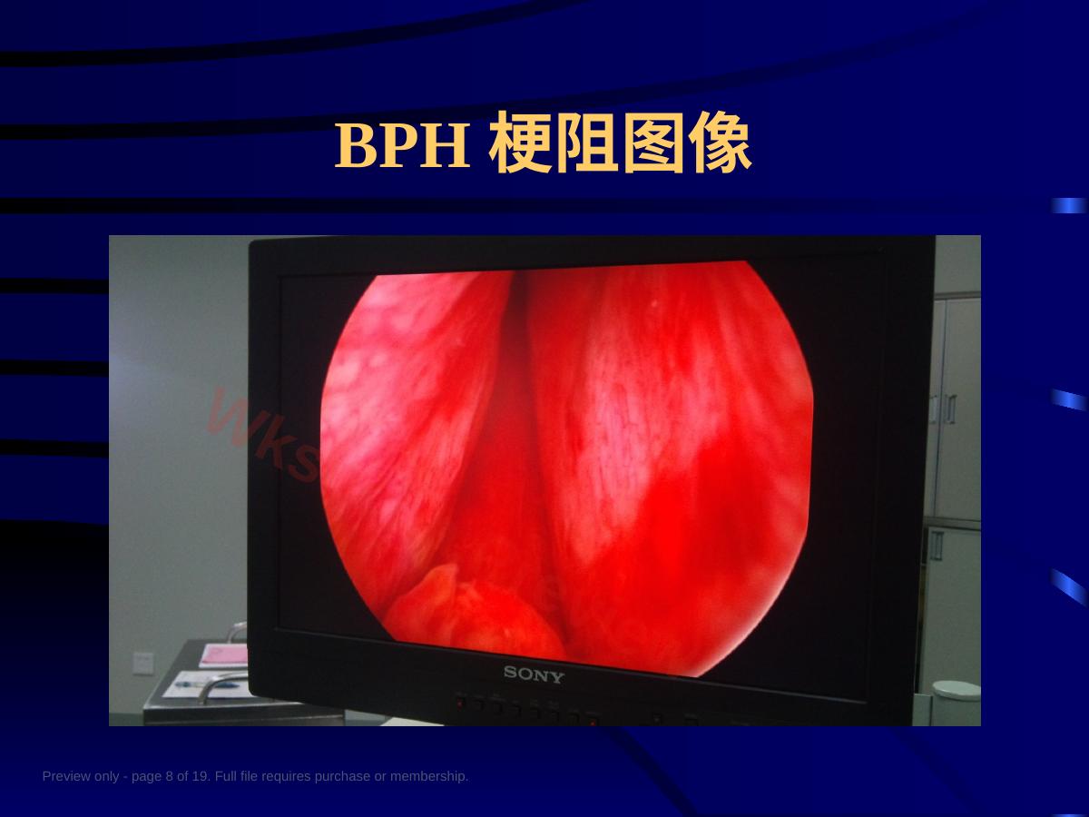 预览第 8 页