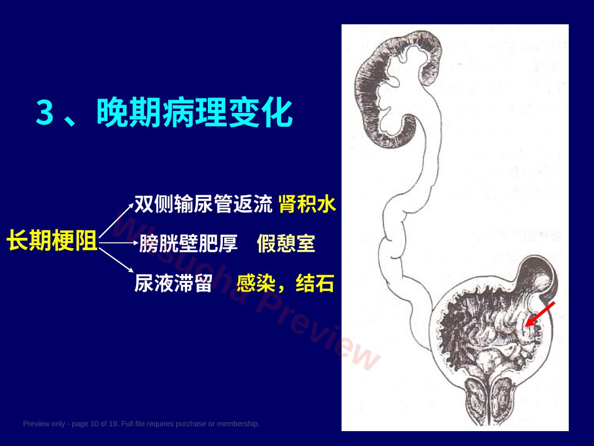 预览第 10 页