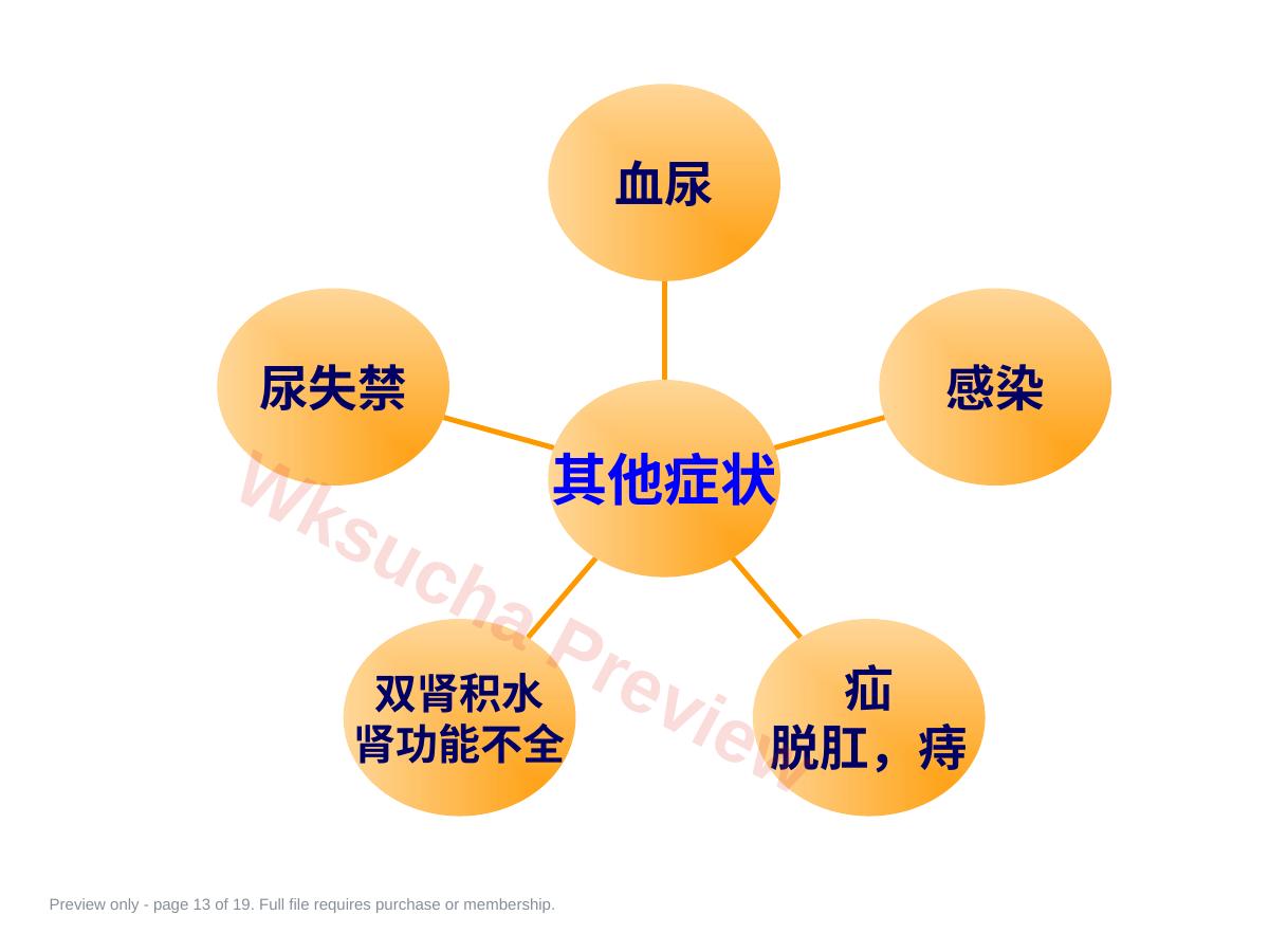 预览第 13 页