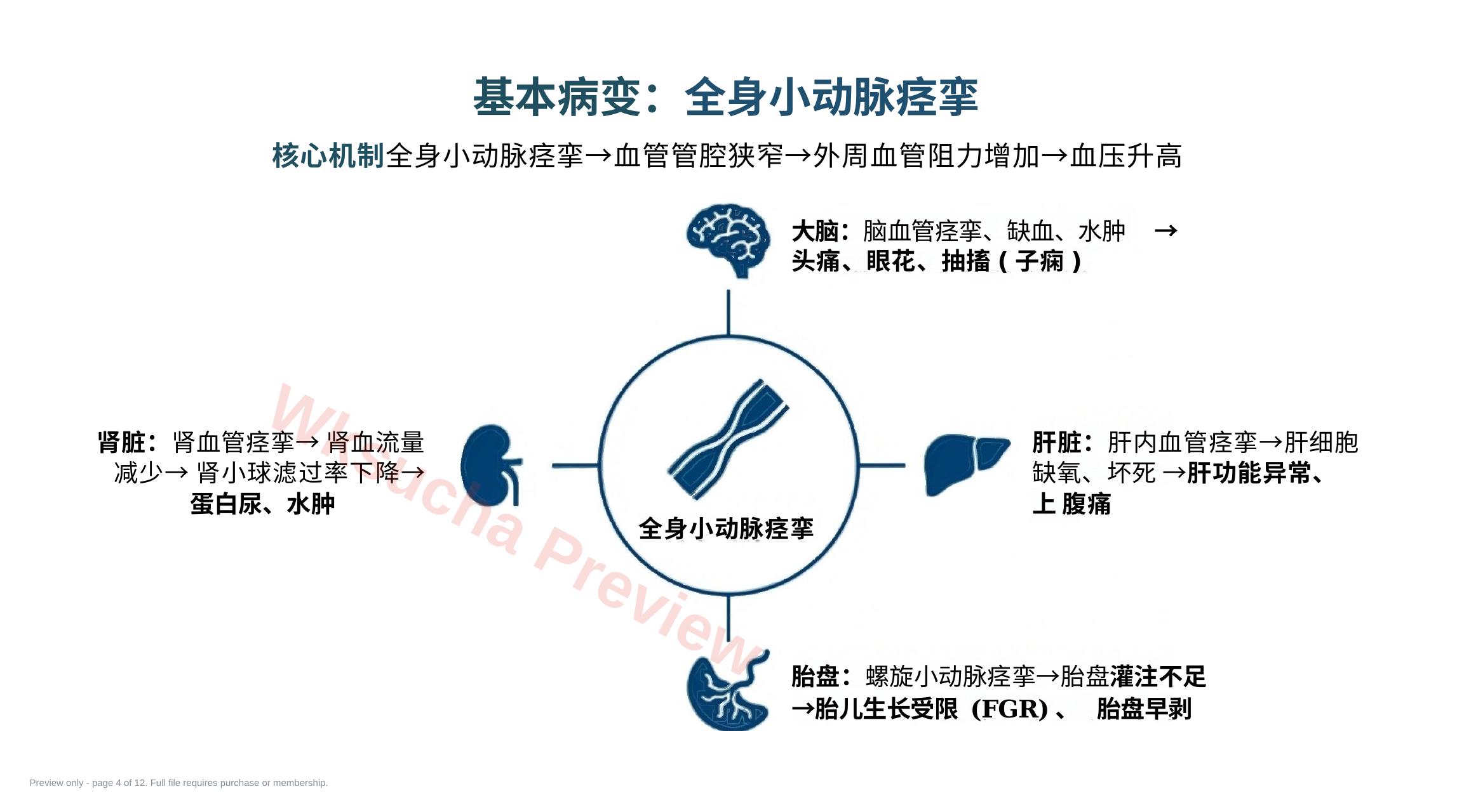 预览第 4 页