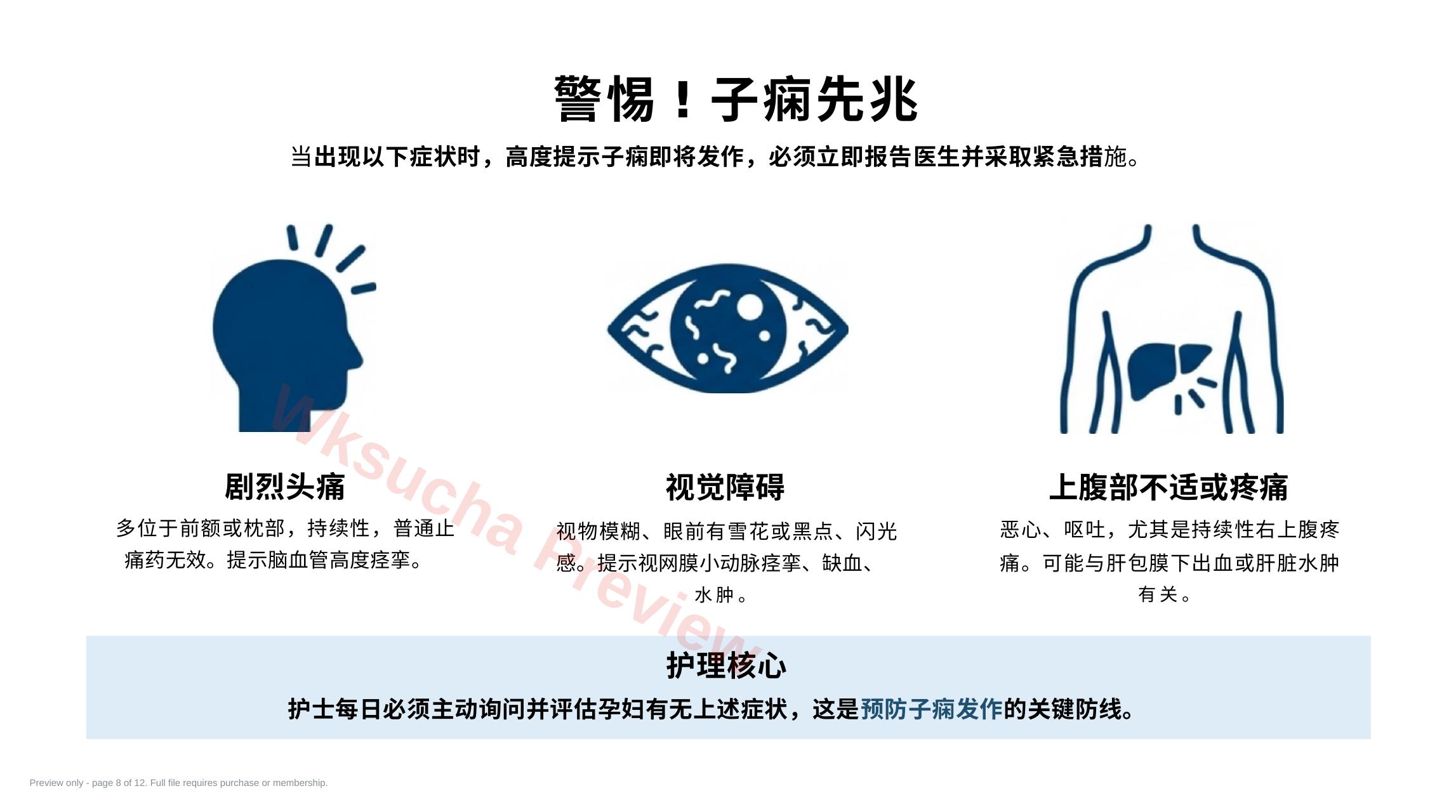 预览第 8 页