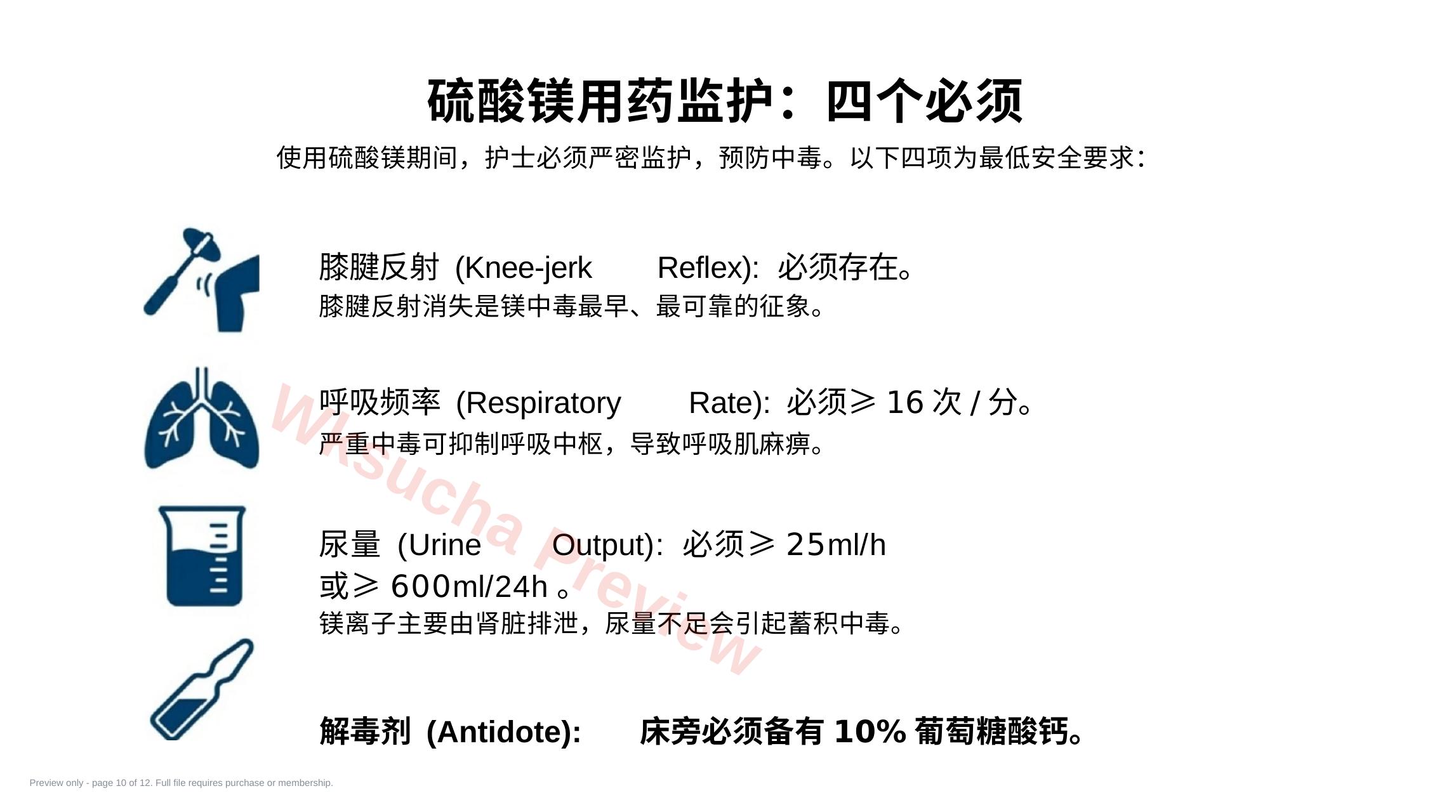 预览第 10 页