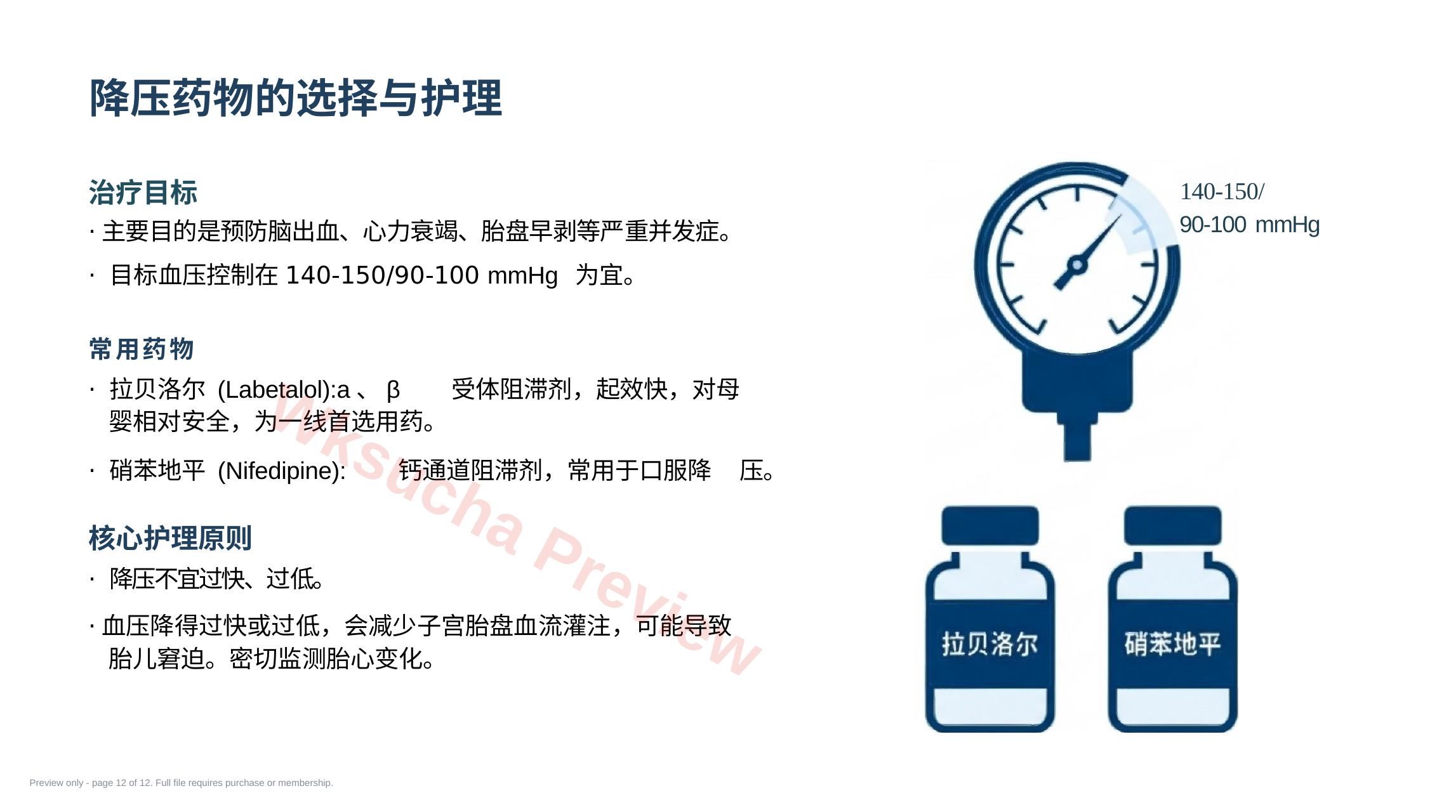 预览第 12 页