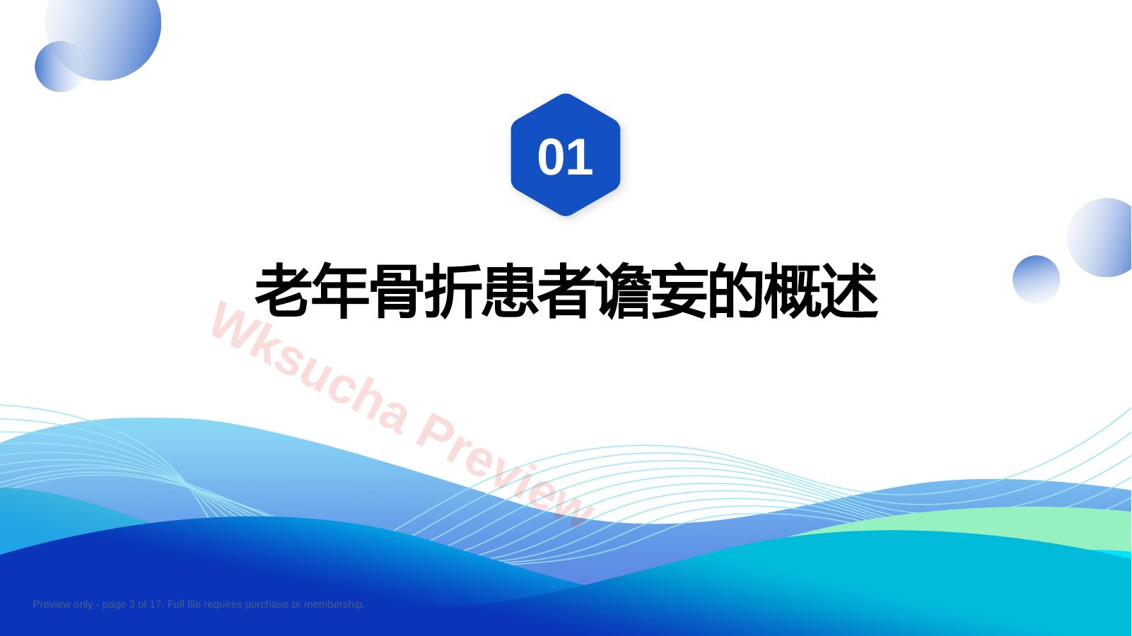 预览第 3 页