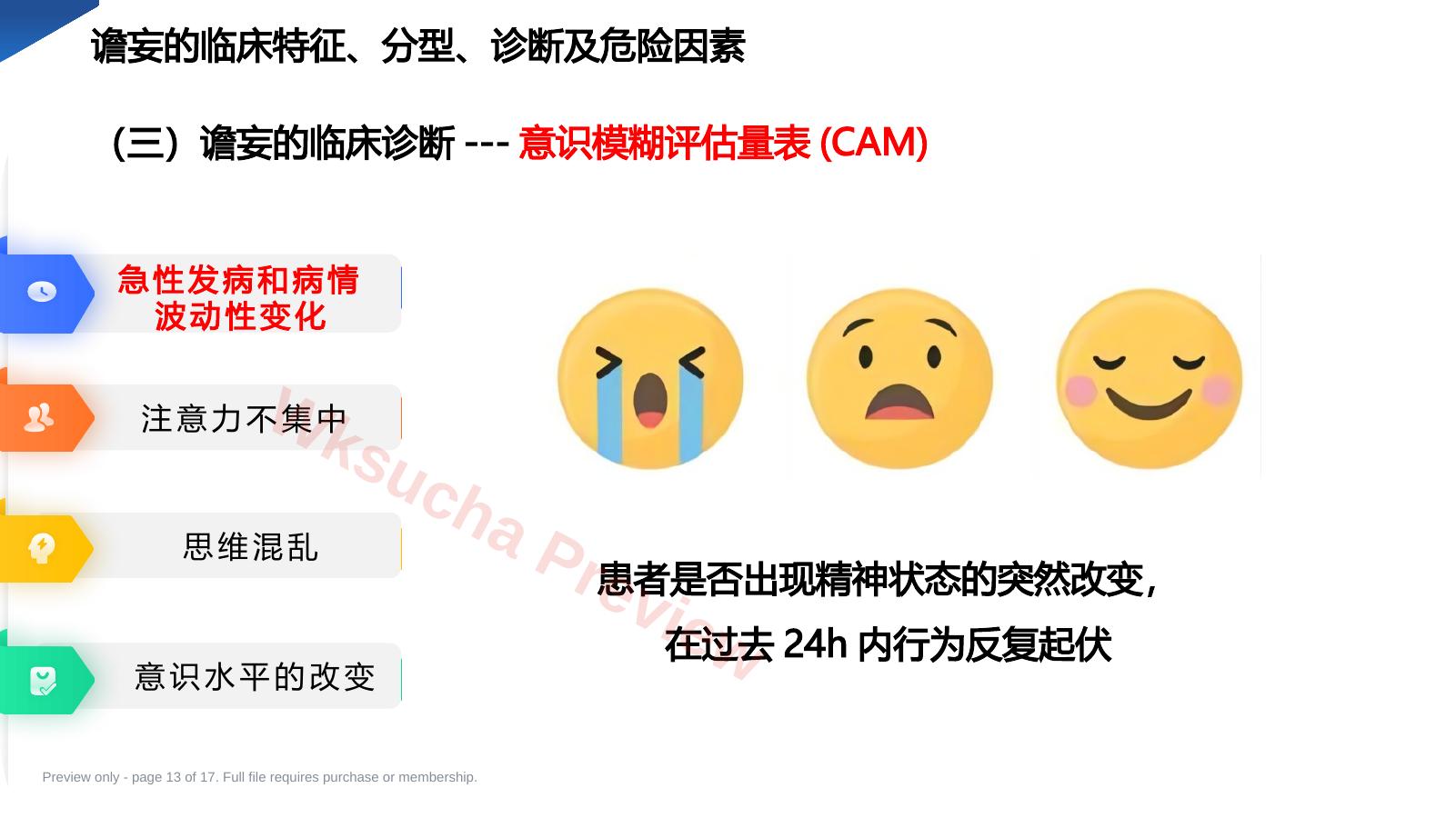 预览第 13 页