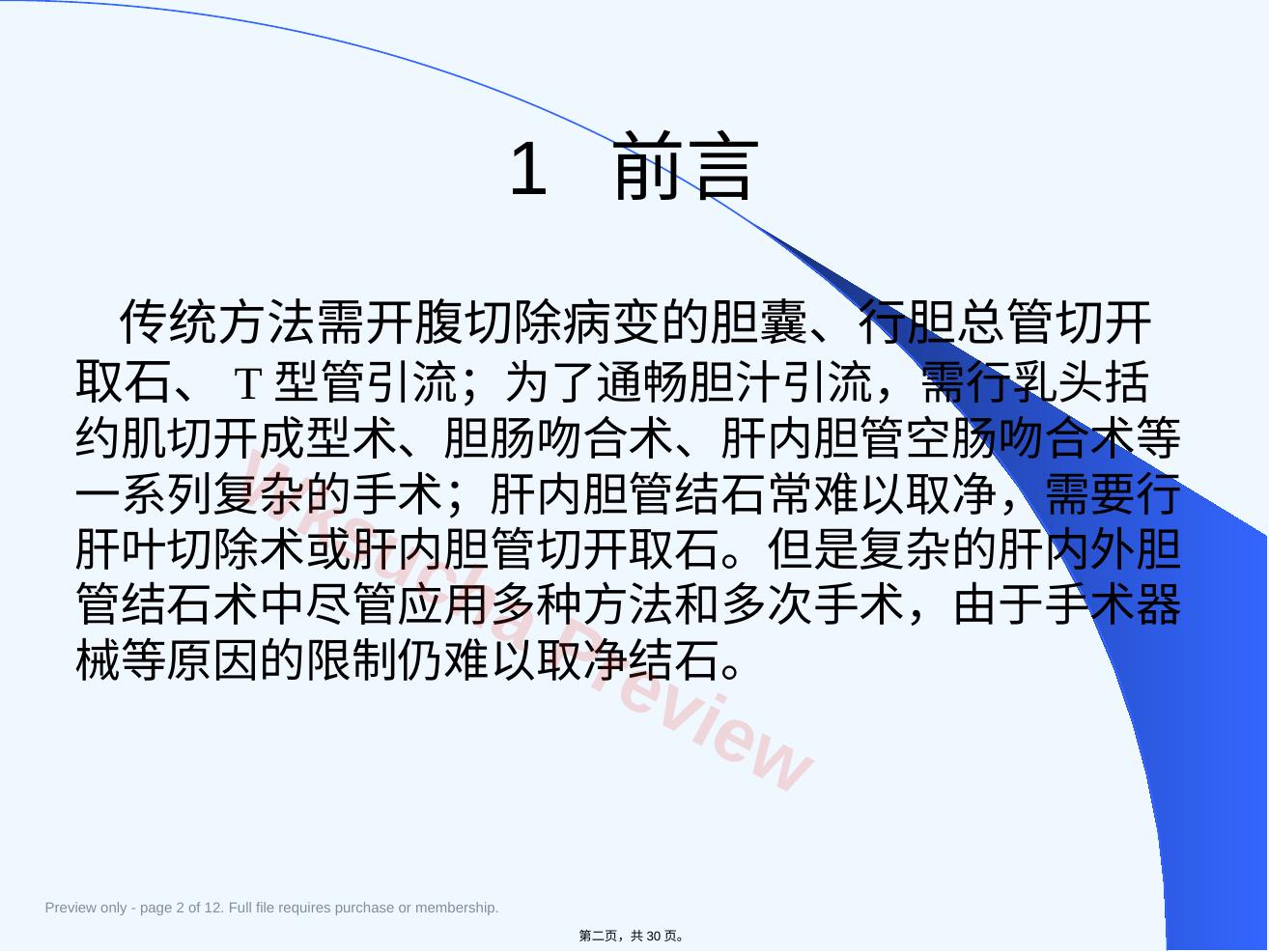 预览第 2 页