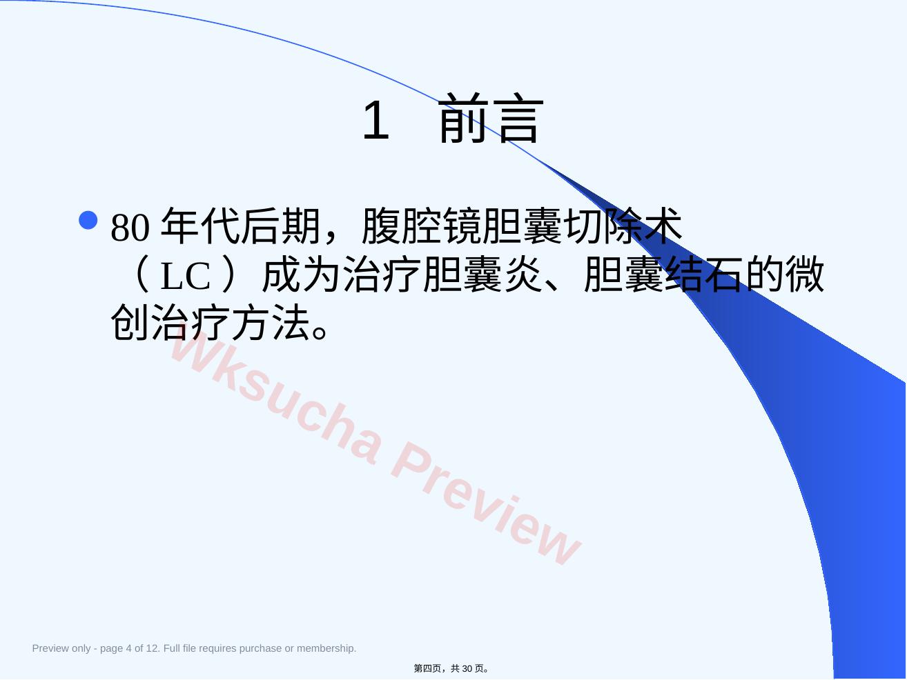 预览第 4 页