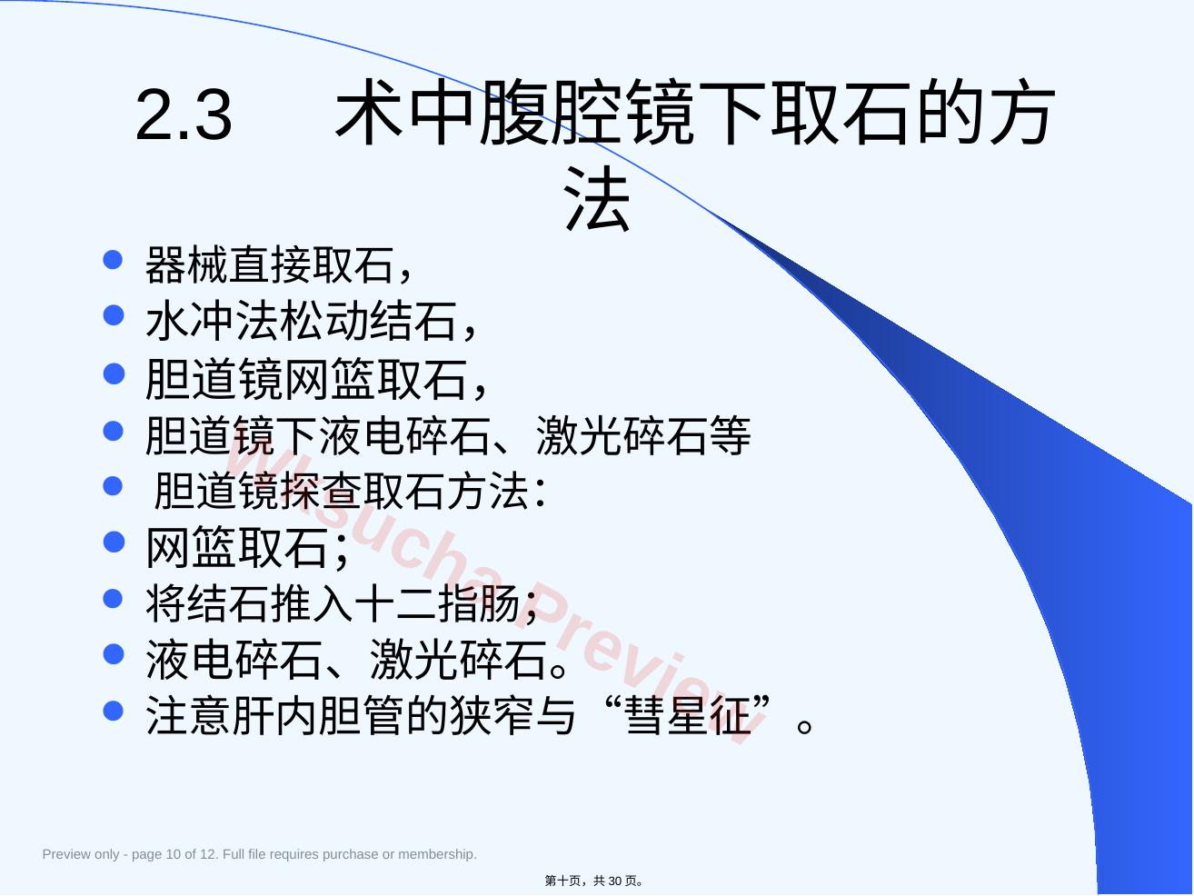 预览第 10 页