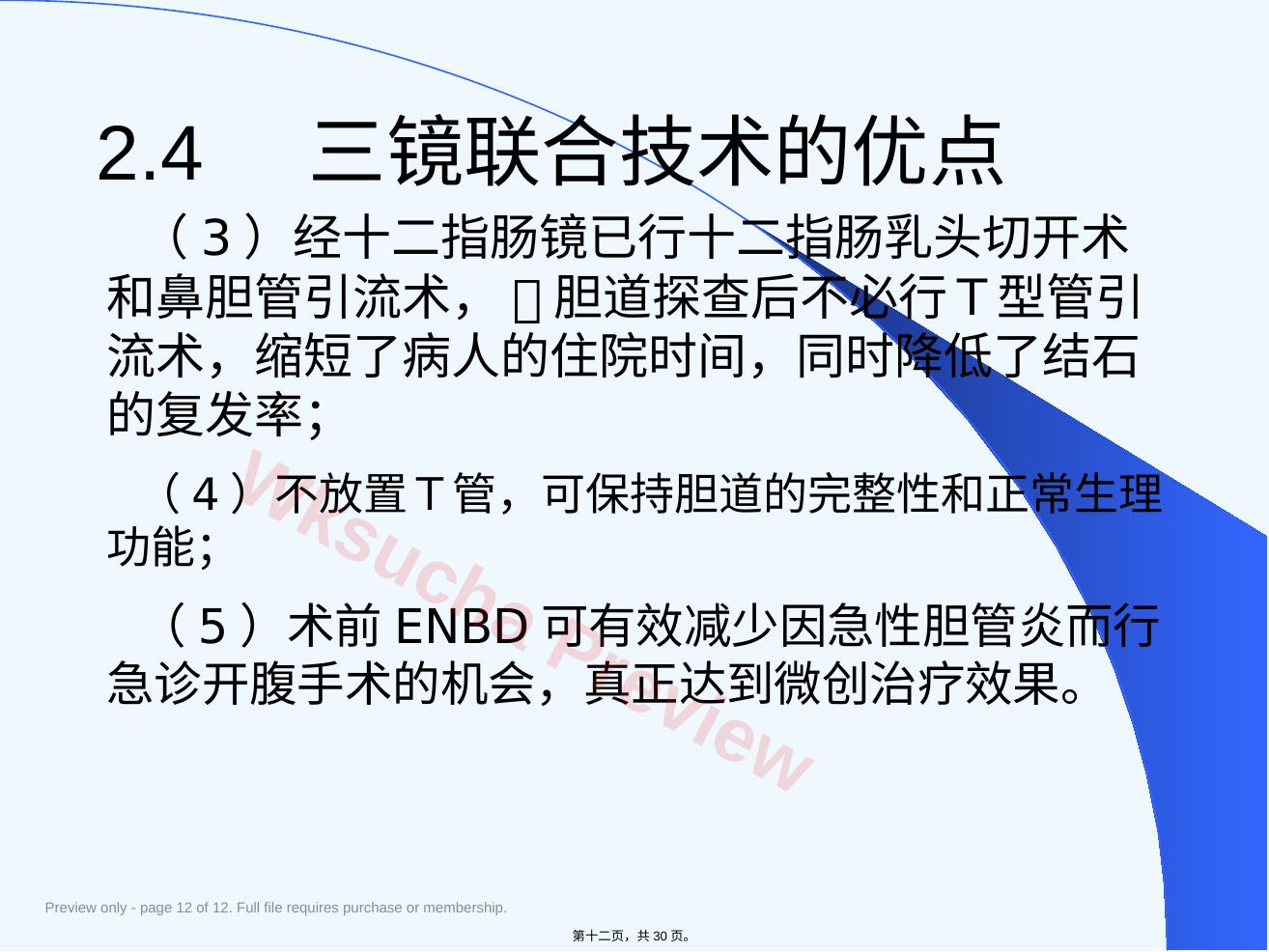 预览第 12 页