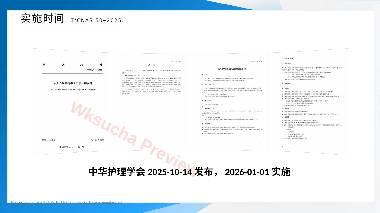 预览第 4 页