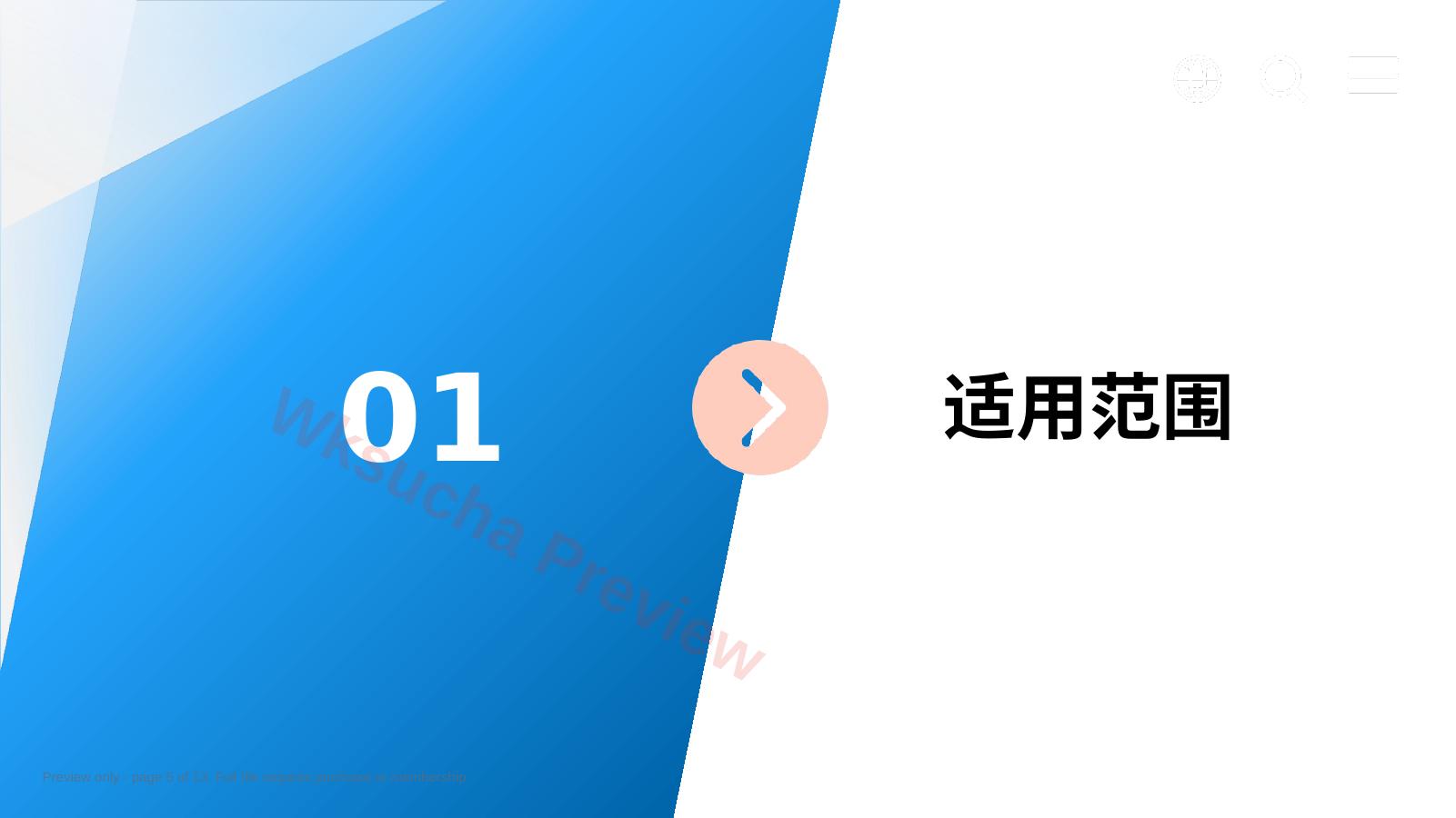 预览第 5 页