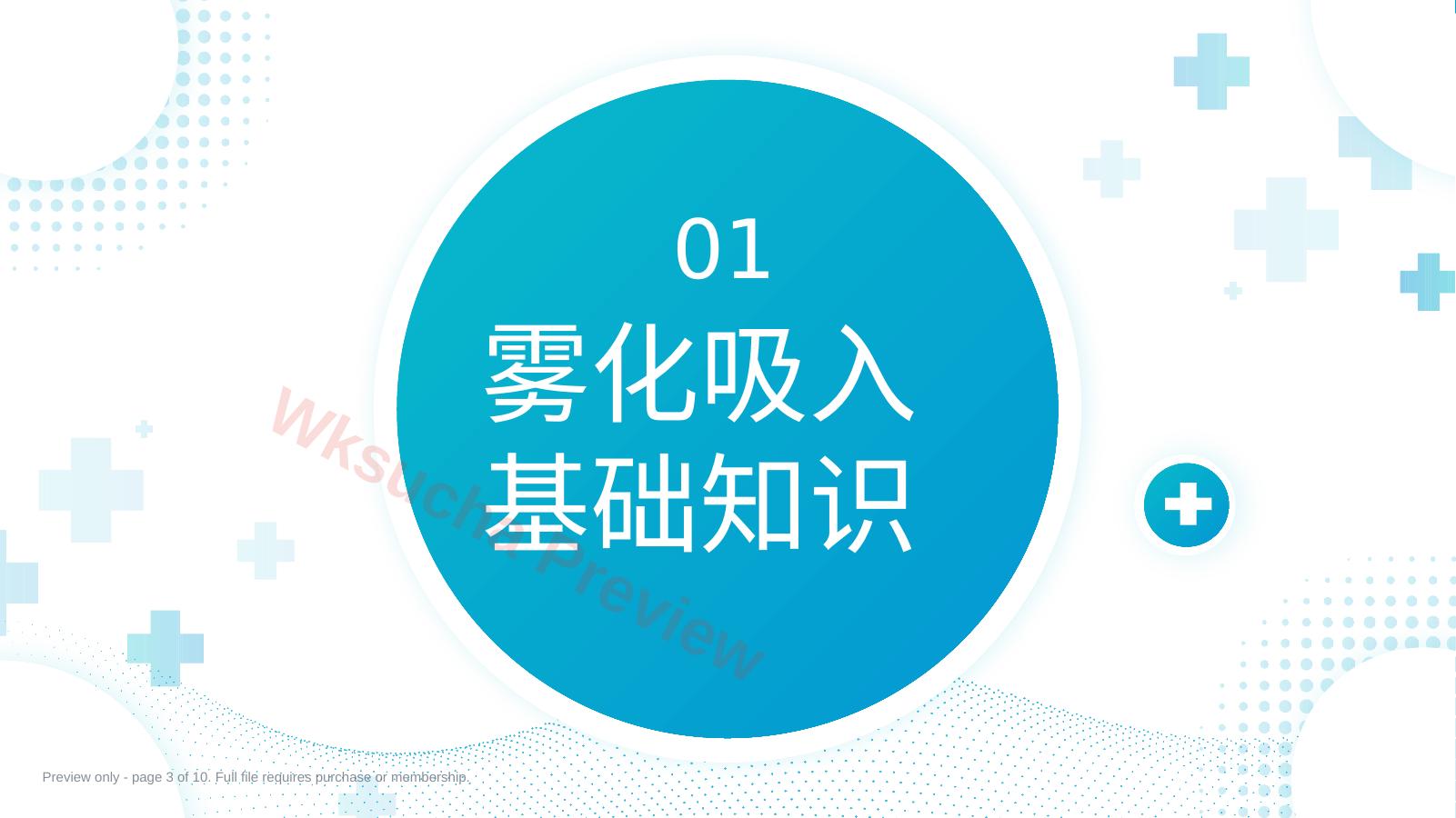 预览第 3 页