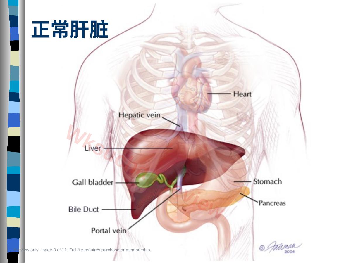 预览第 3 页