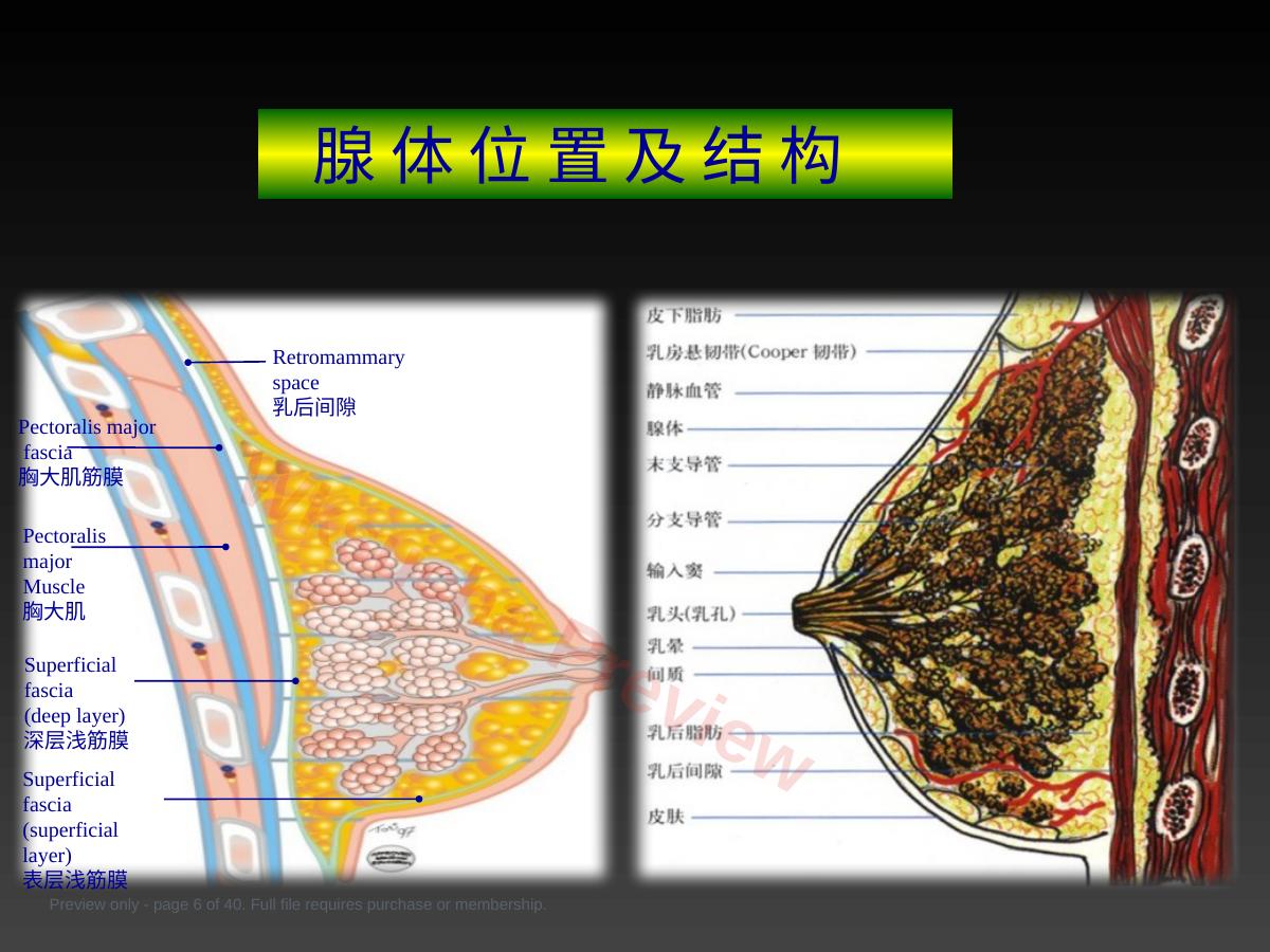 预览第 6 页