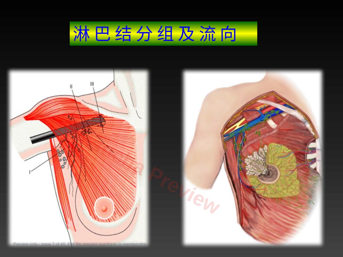 预览第 7 页