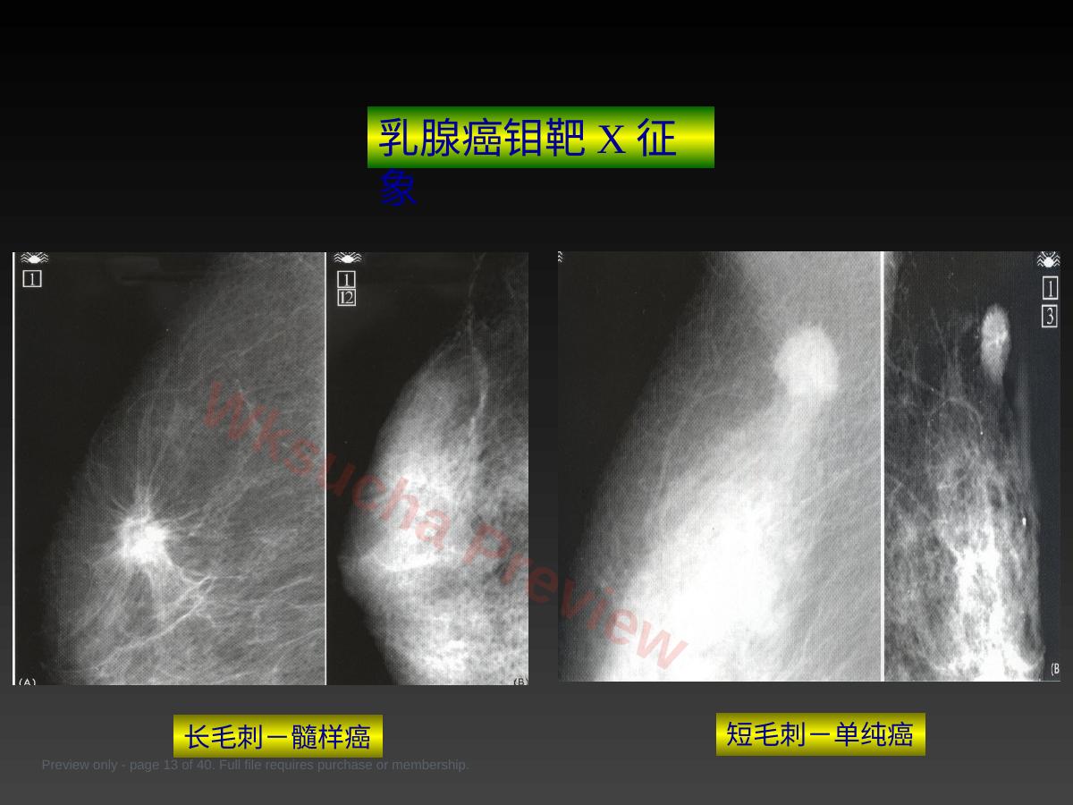 预览第 13 页