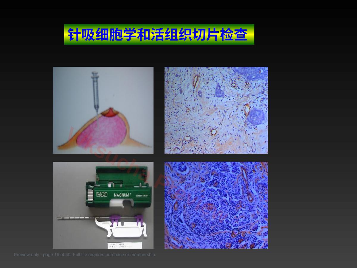 预览第 16 页