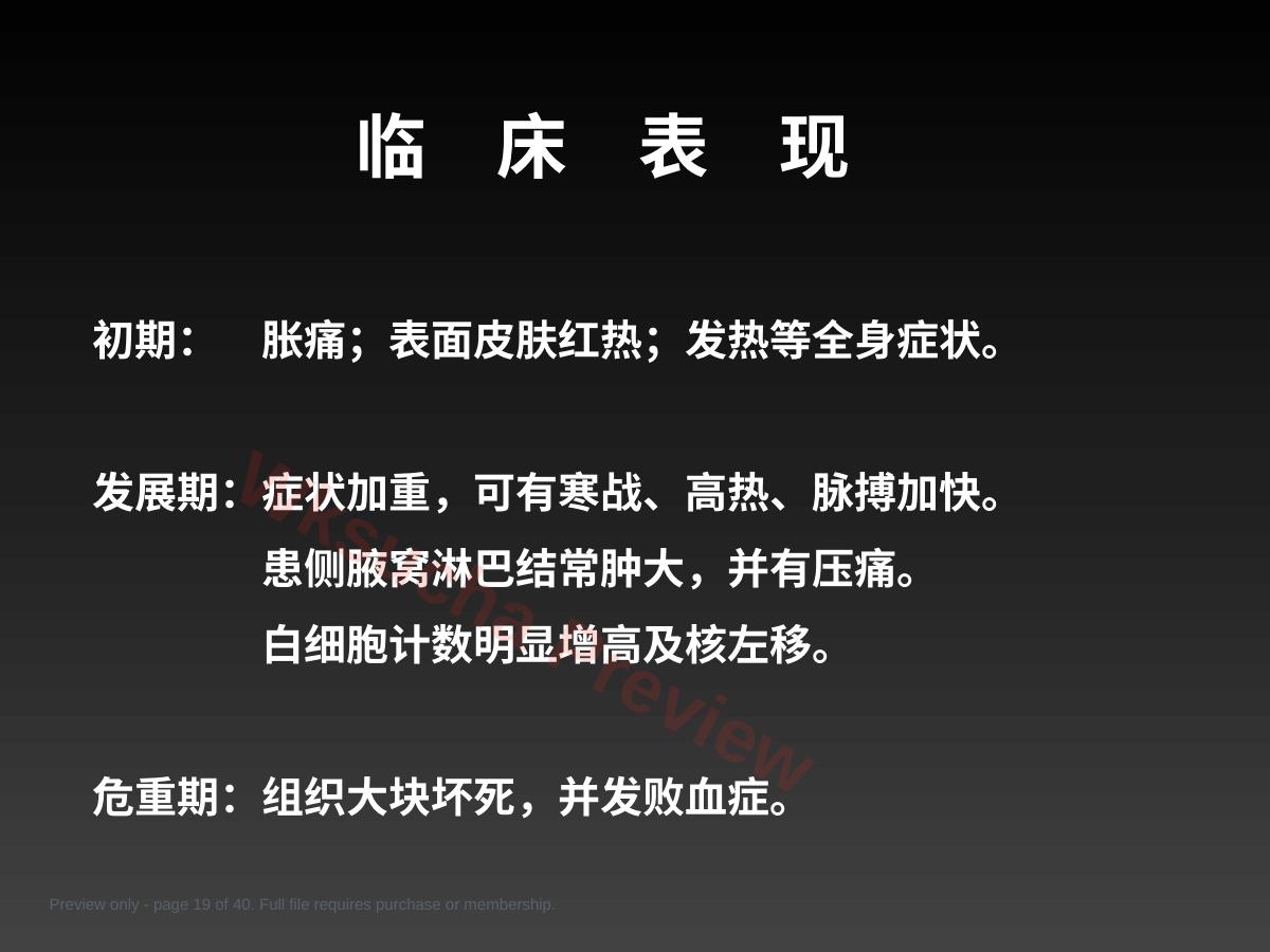 预览第 19 页