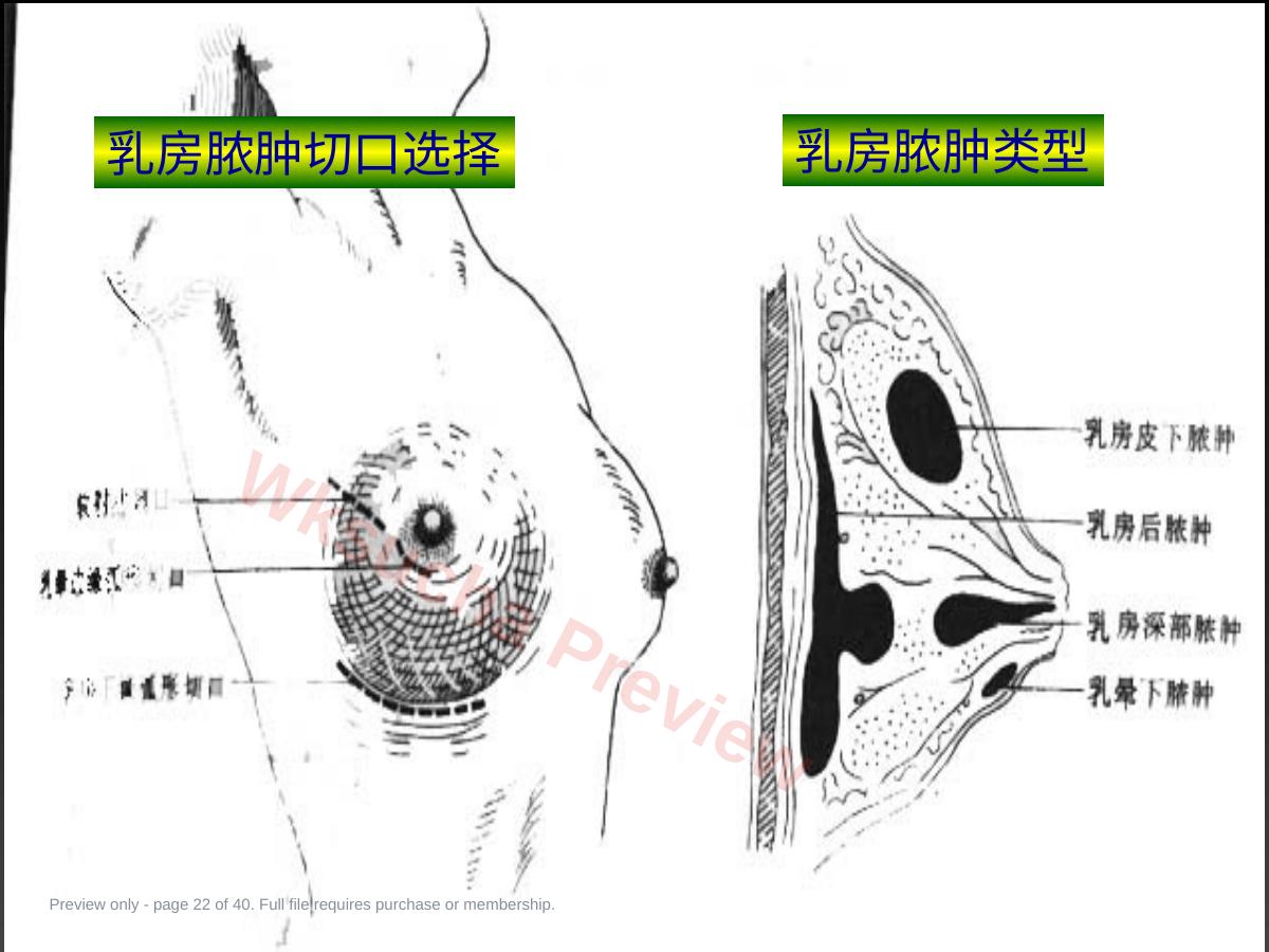 预览第 22 页
