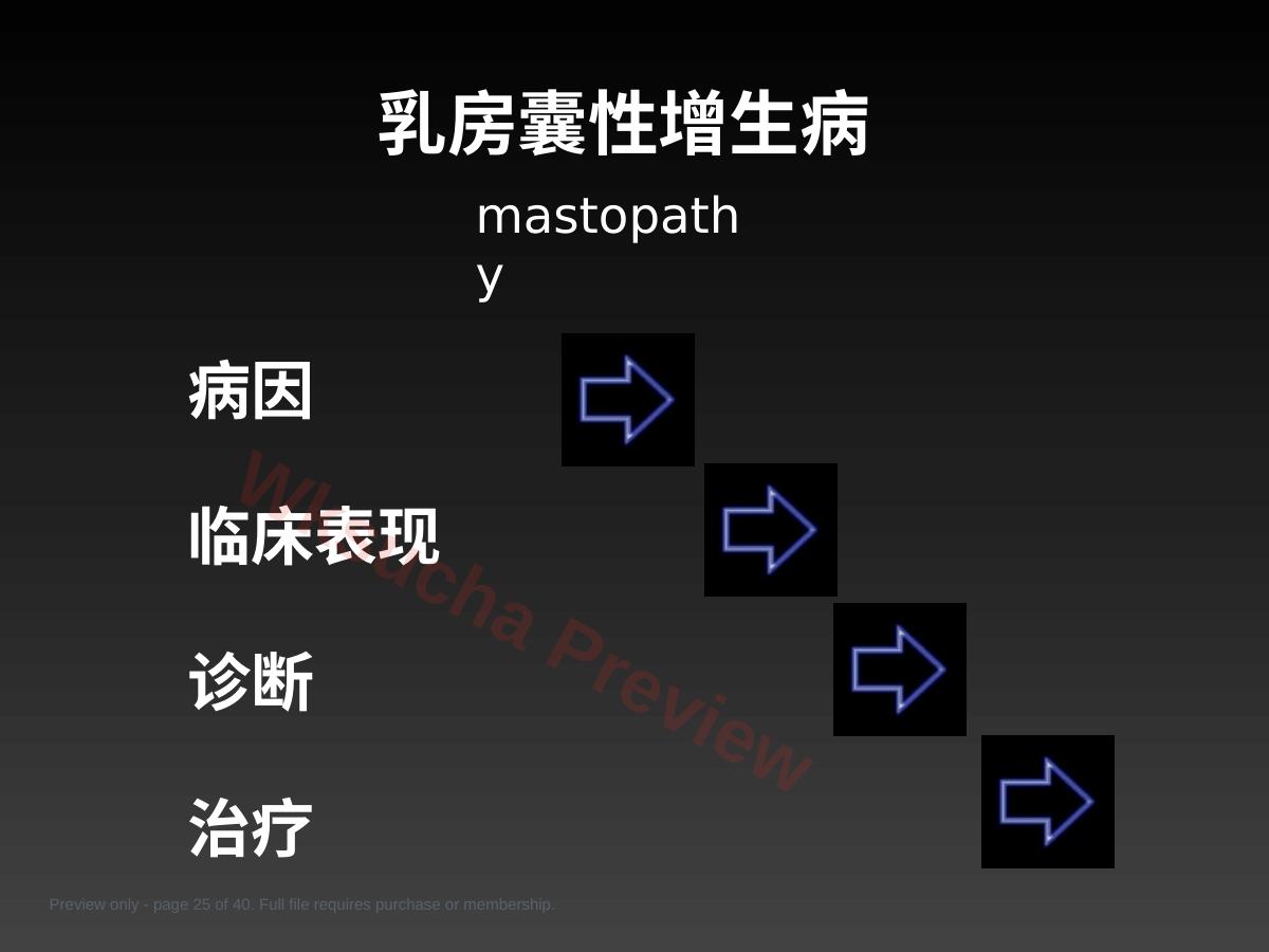 预览第 25 页