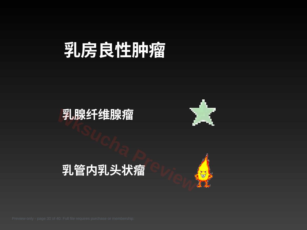 预览第 30 页