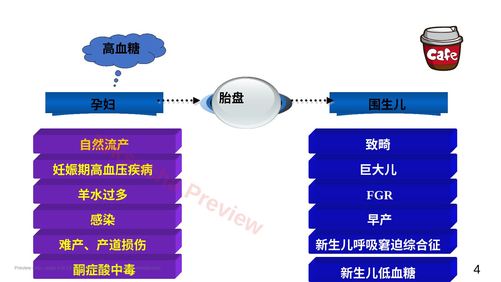 预览第 4 页