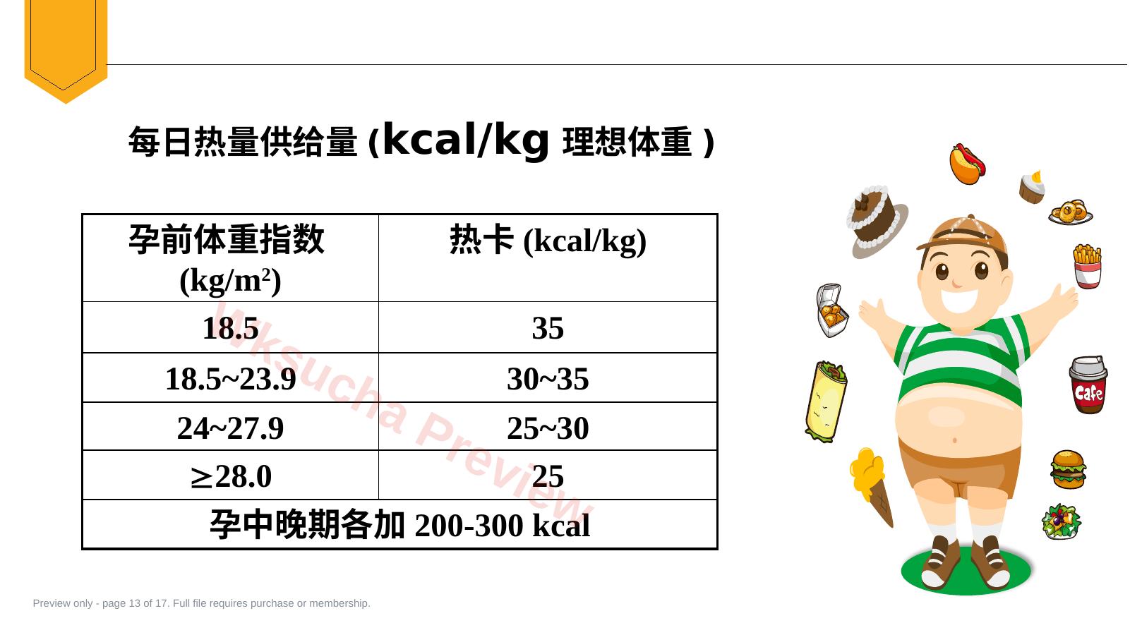 预览第 13 页