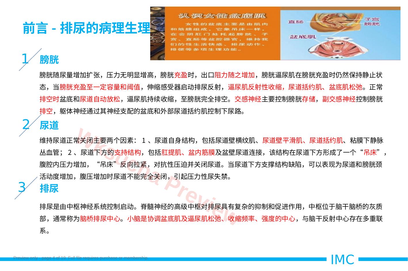 预览第 4 页