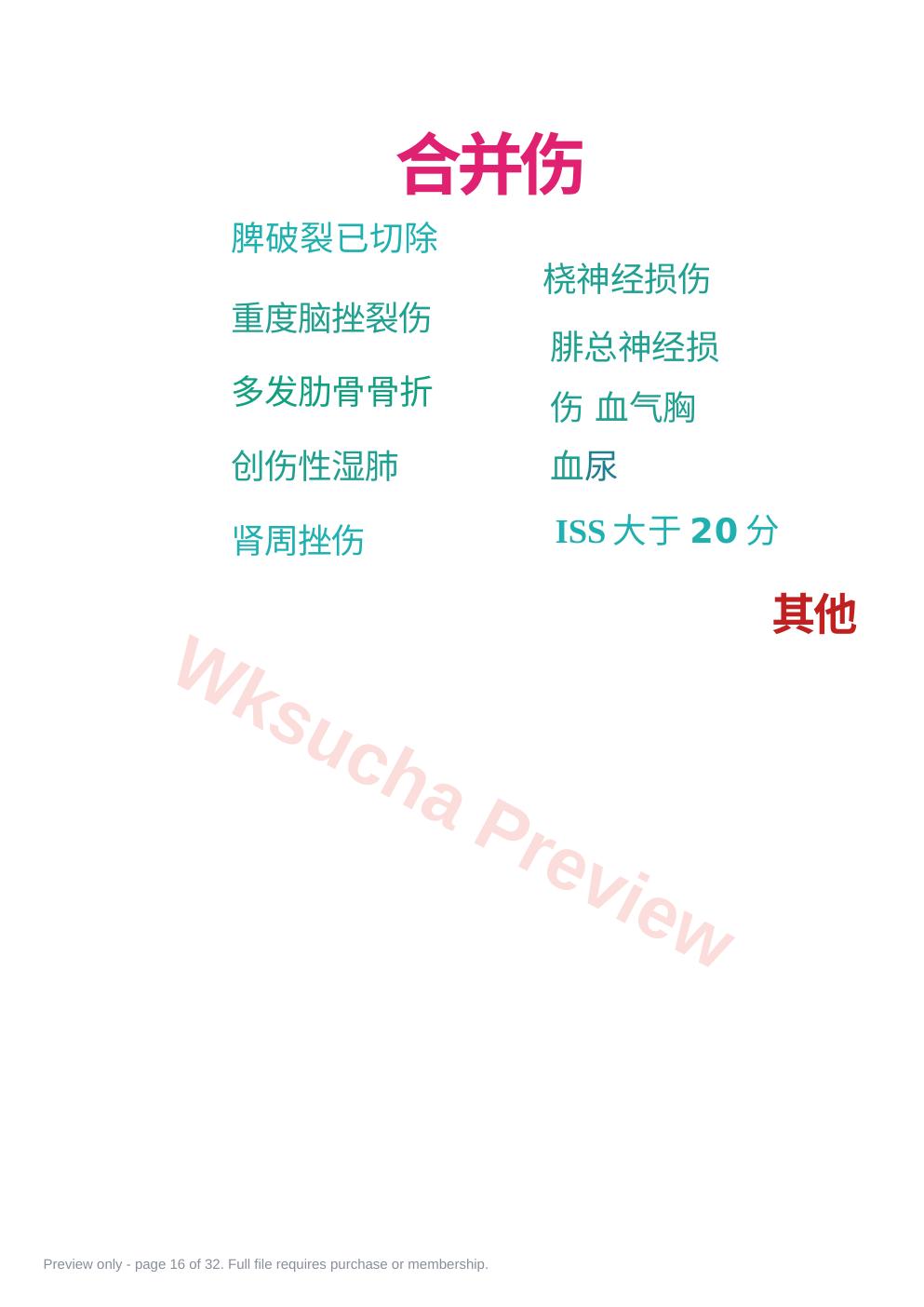 预览第 16 页
