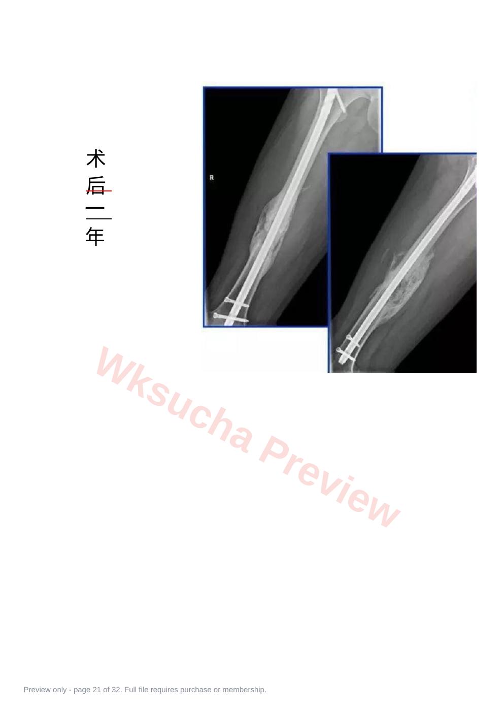 预览第 21 页
