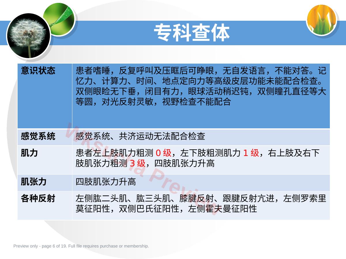 预览第 6 页