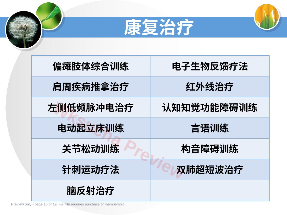 预览第 10 页