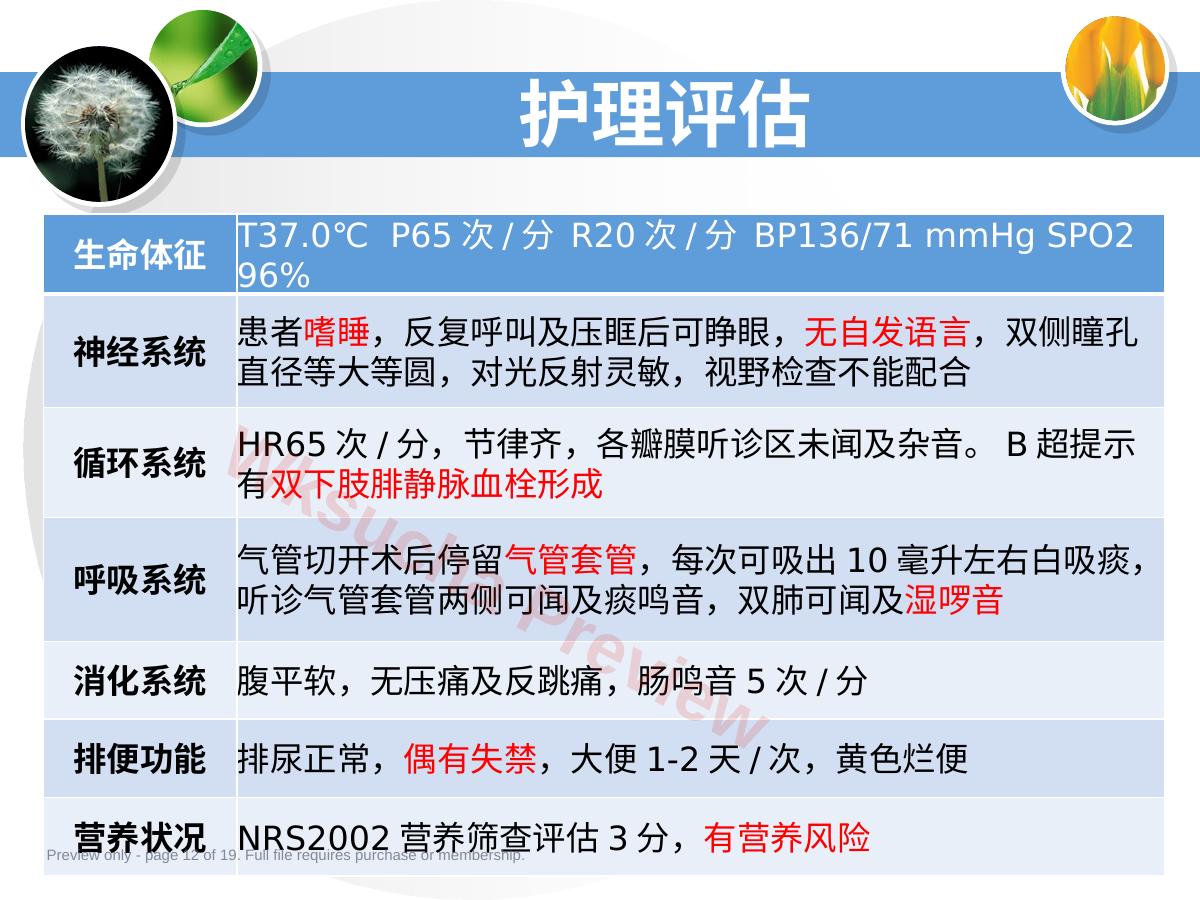 预览第 12 页