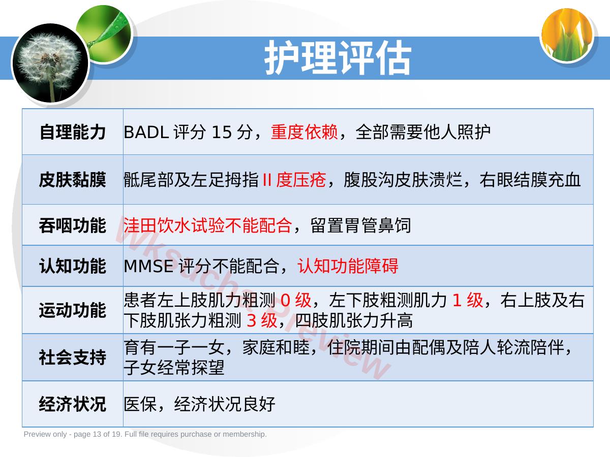 预览第 13 页