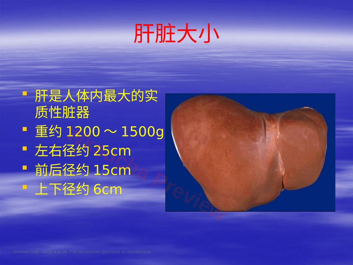 预览第 4 页