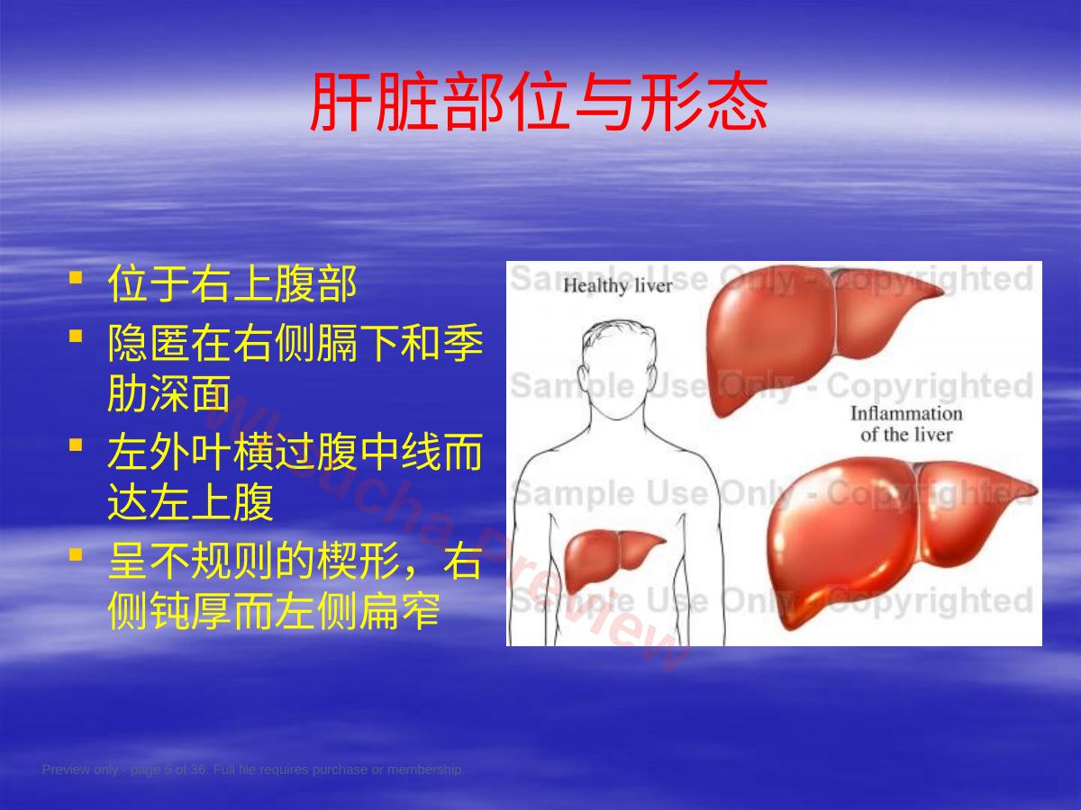 预览第 5 页