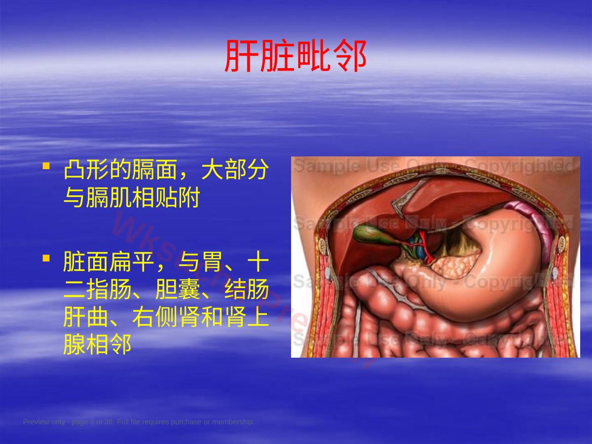 预览第 6 页