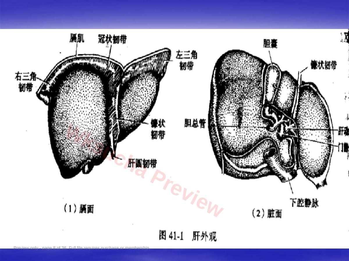 预览第 8 页