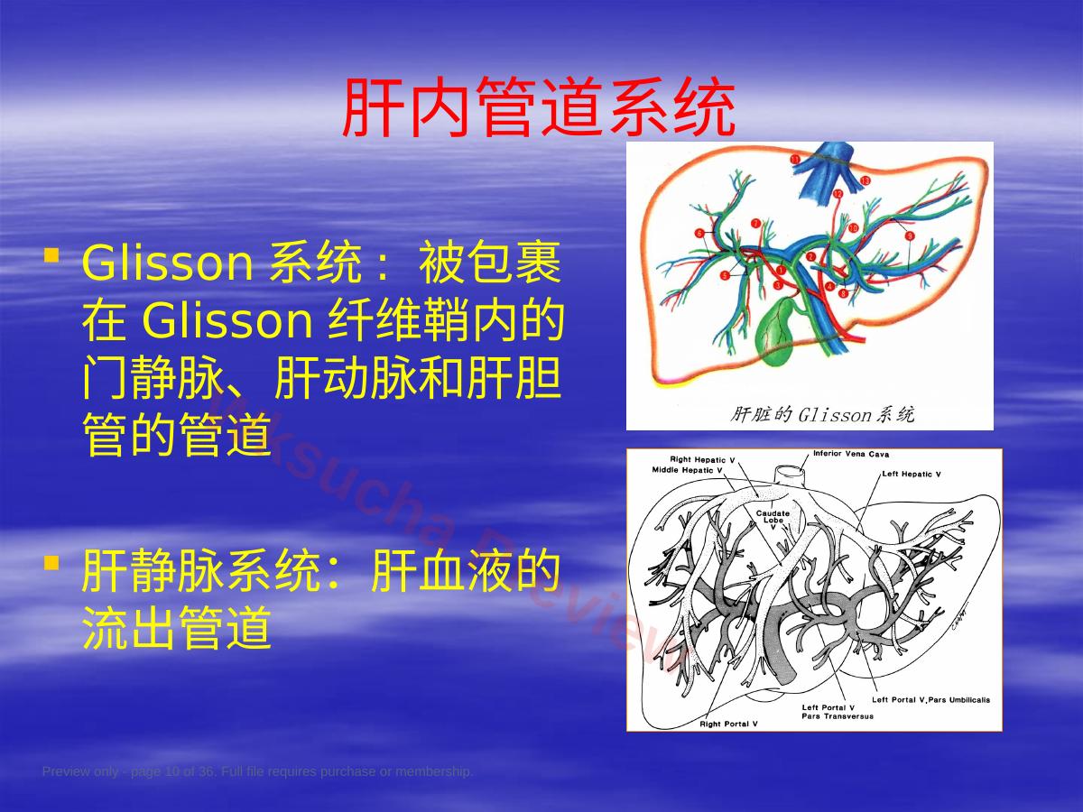 预览第 10 页