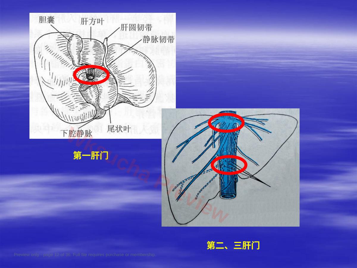 预览第 12 页