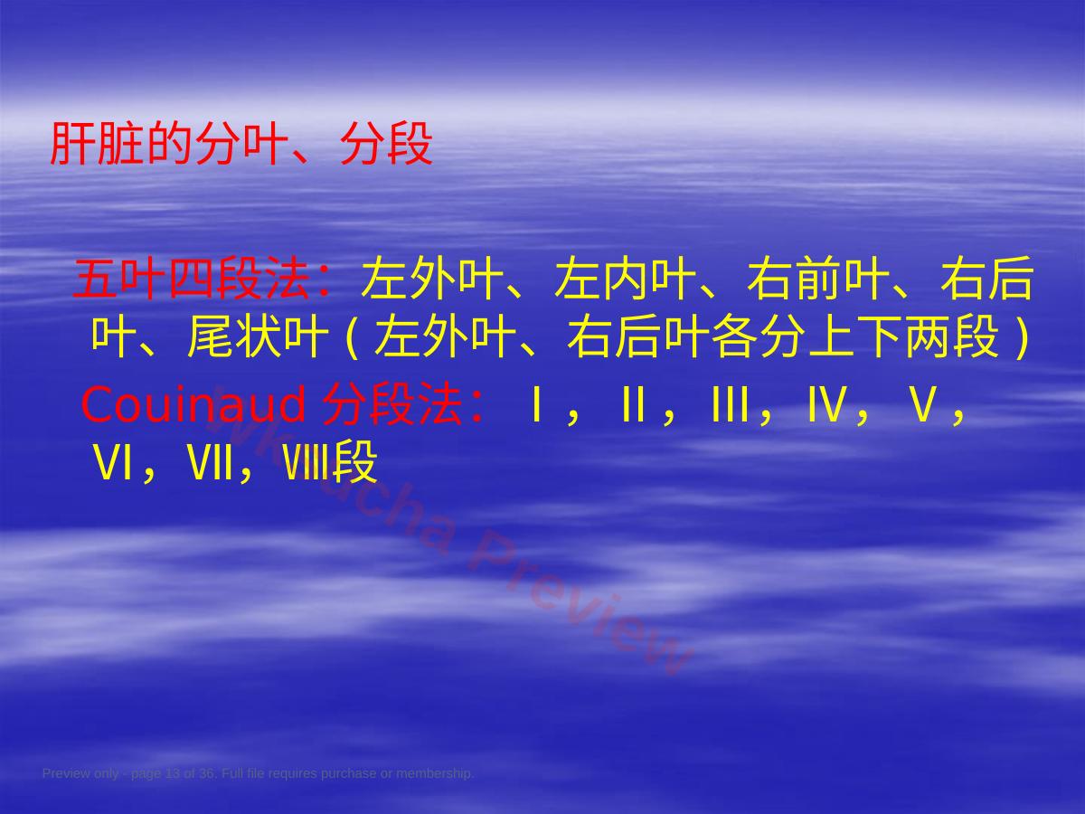 预览第 13 页