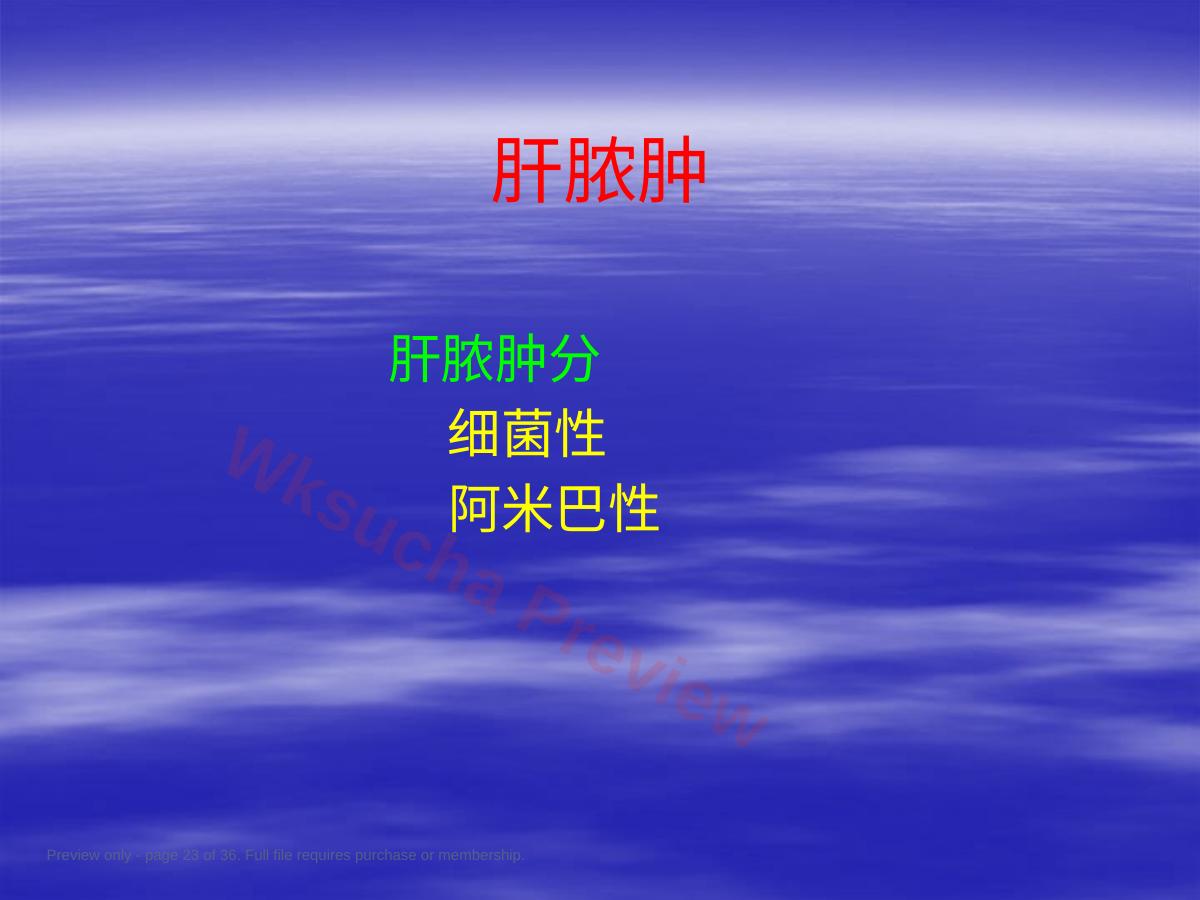 预览第 23 页