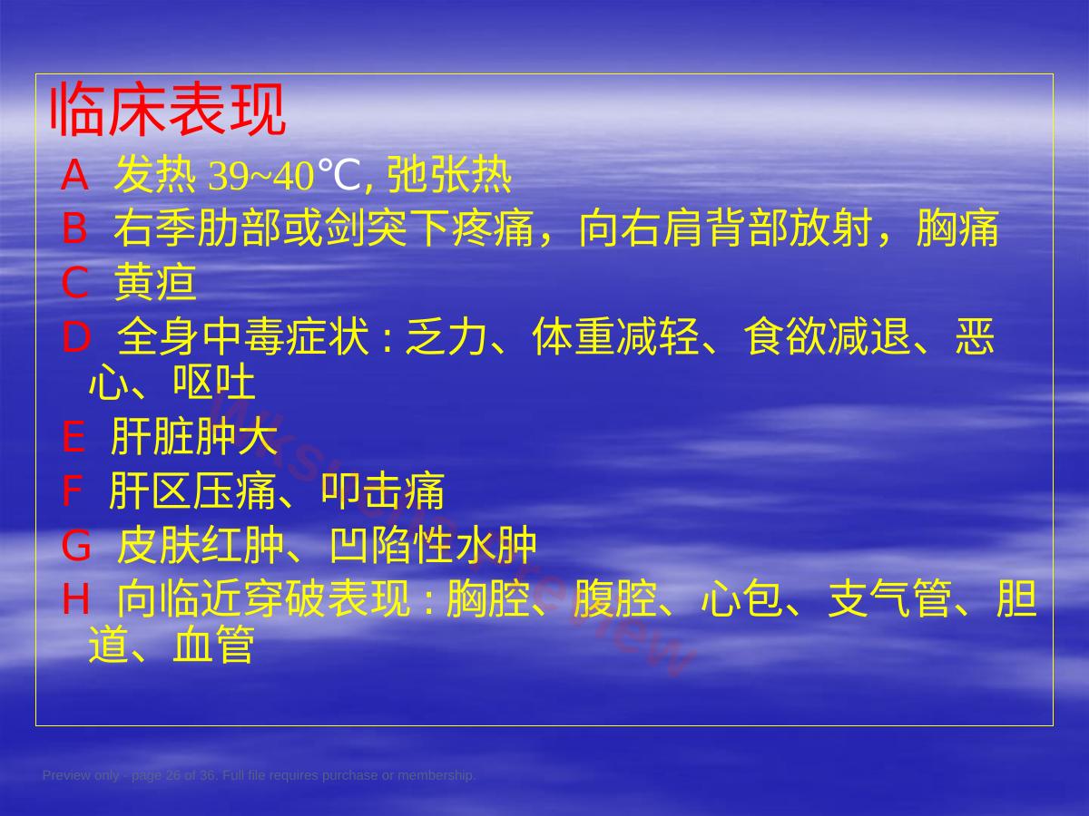 预览第 26 页