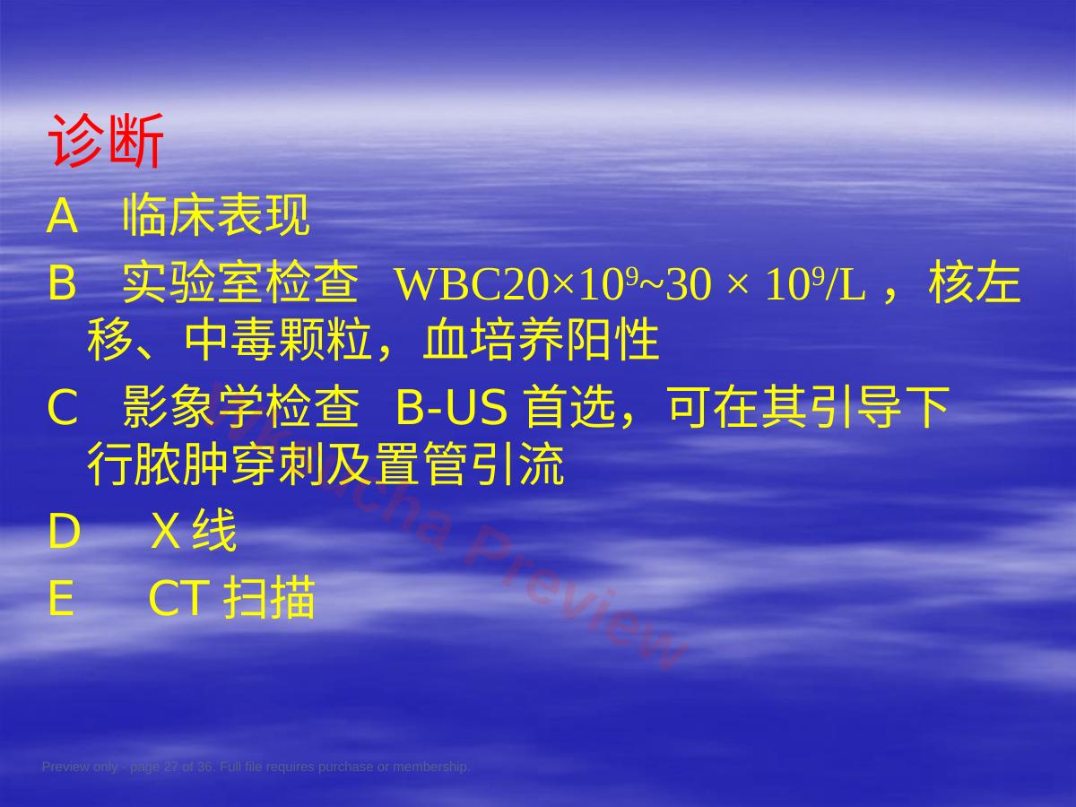预览第 27 页
