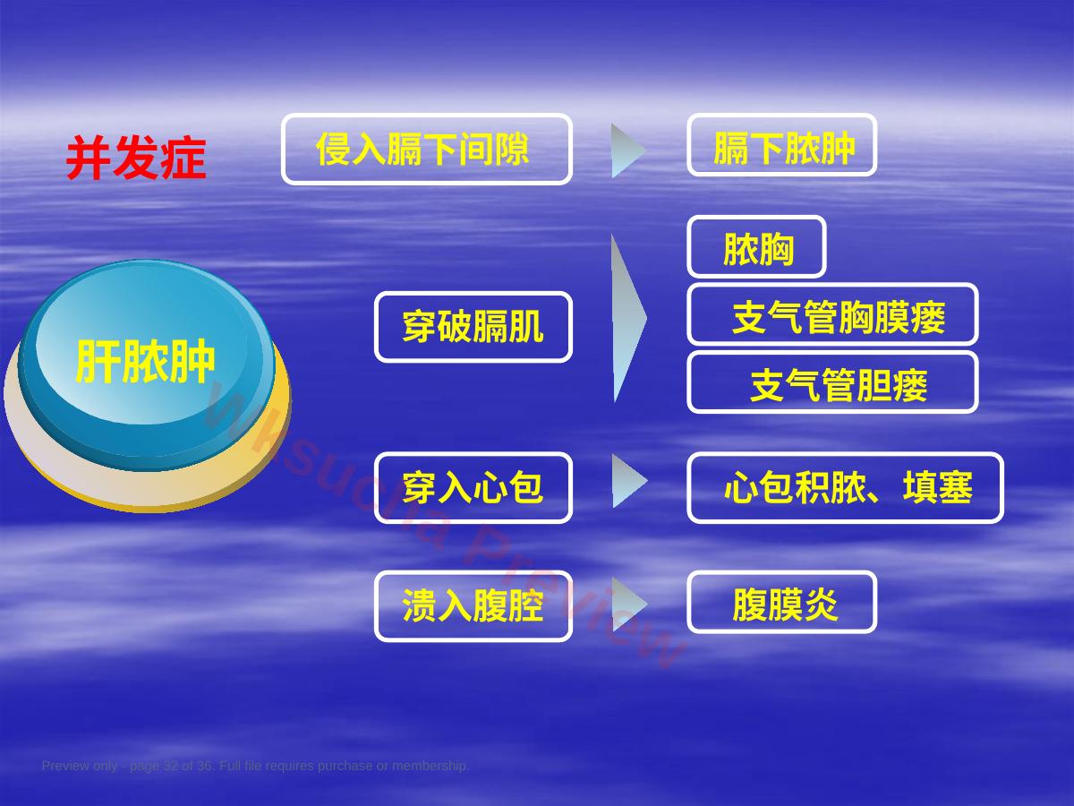 预览第 32 页