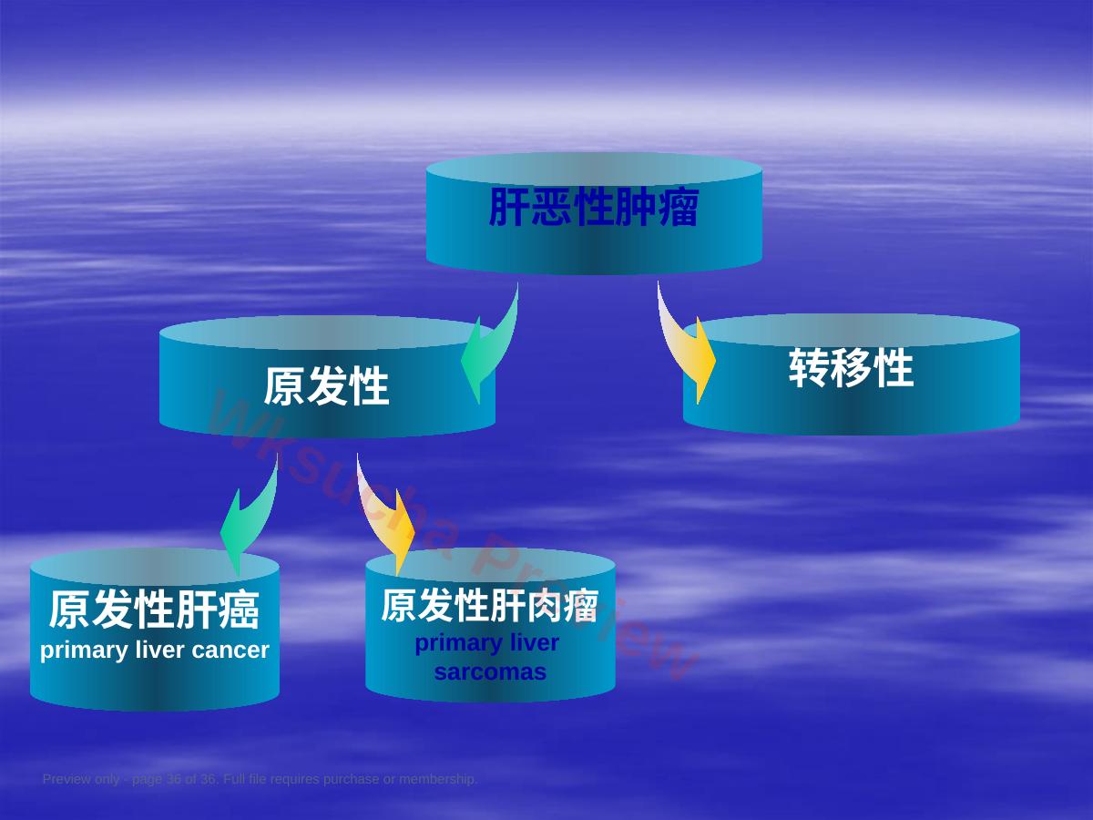 预览第 36 页