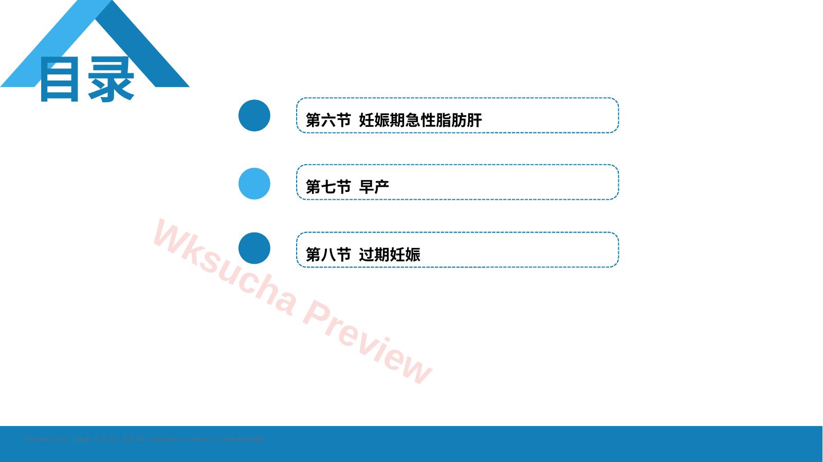 预览第 3 页