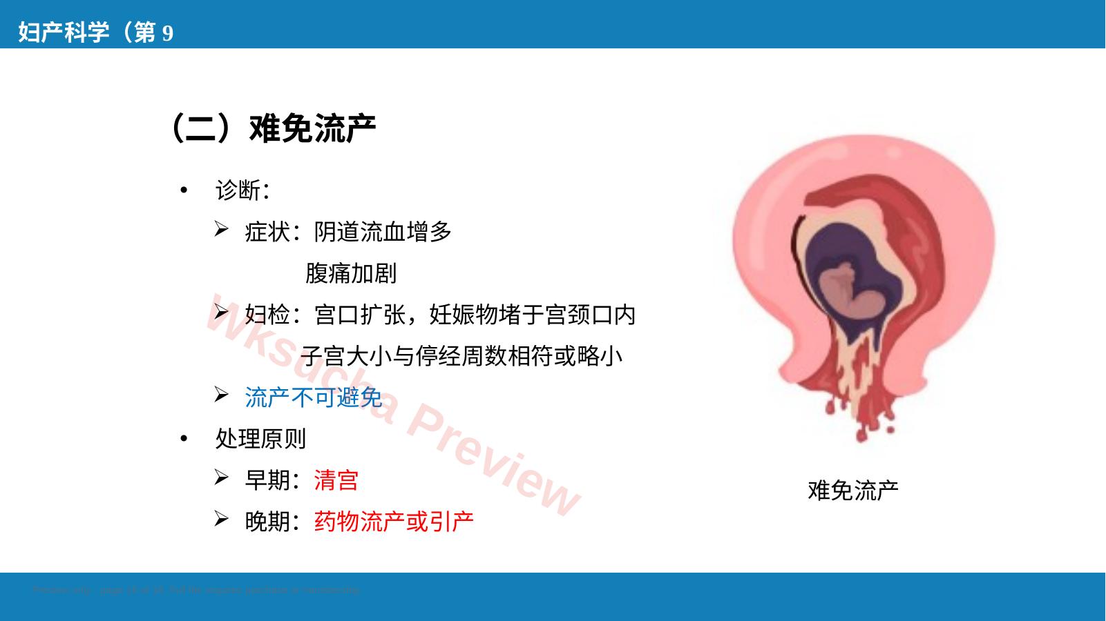 预览第 16 页