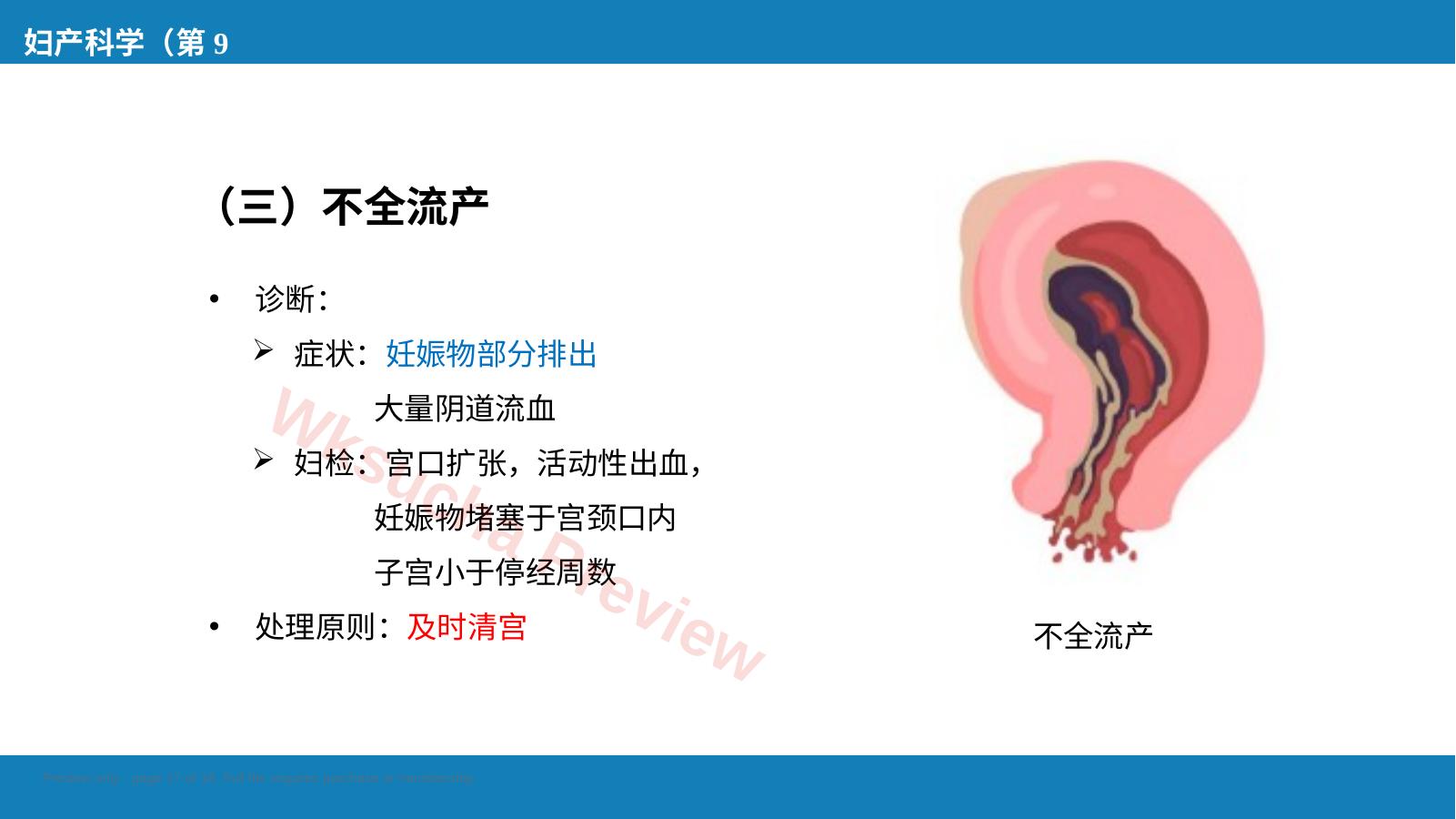 预览第 17 页