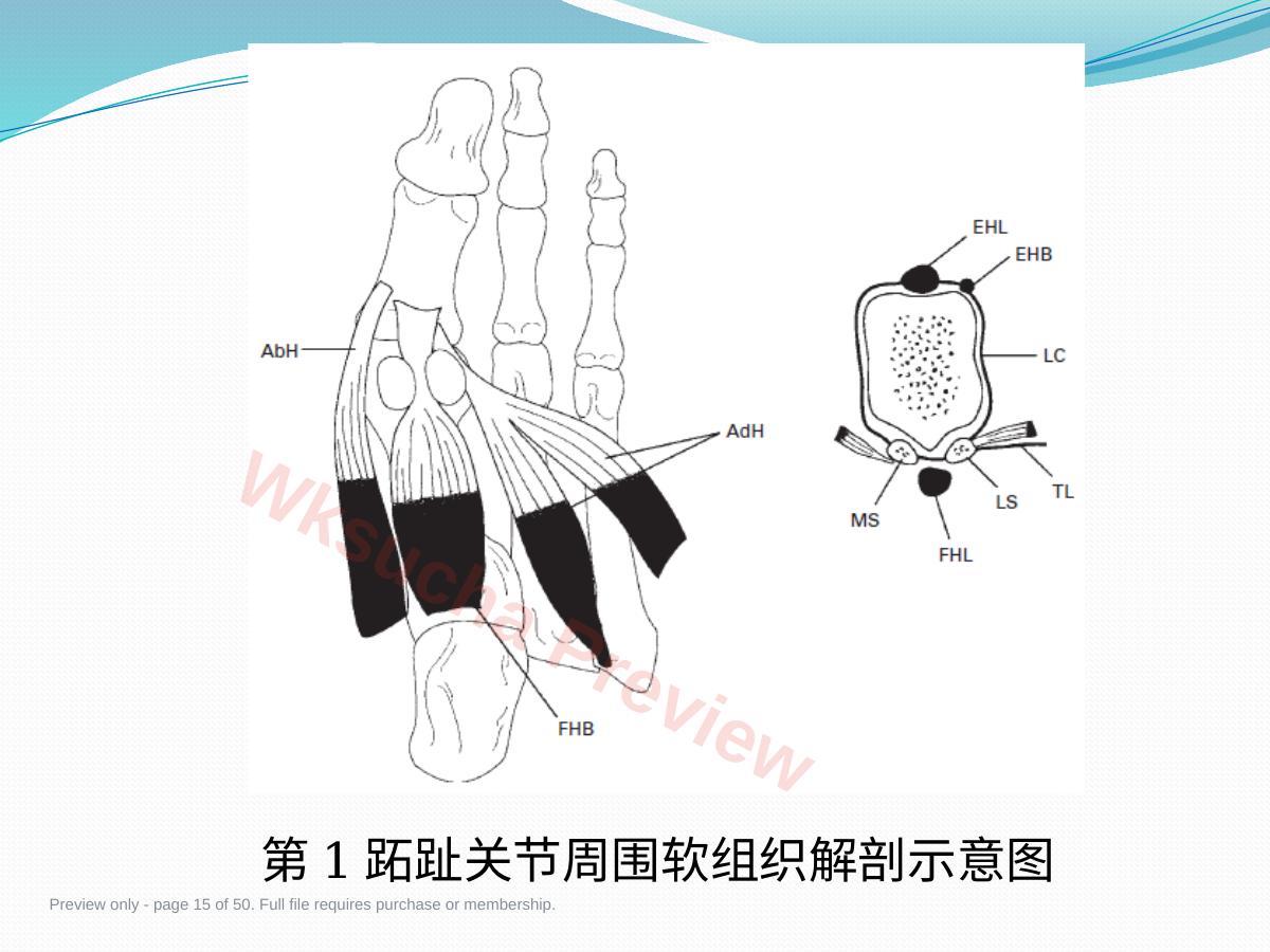 预览第 15 页